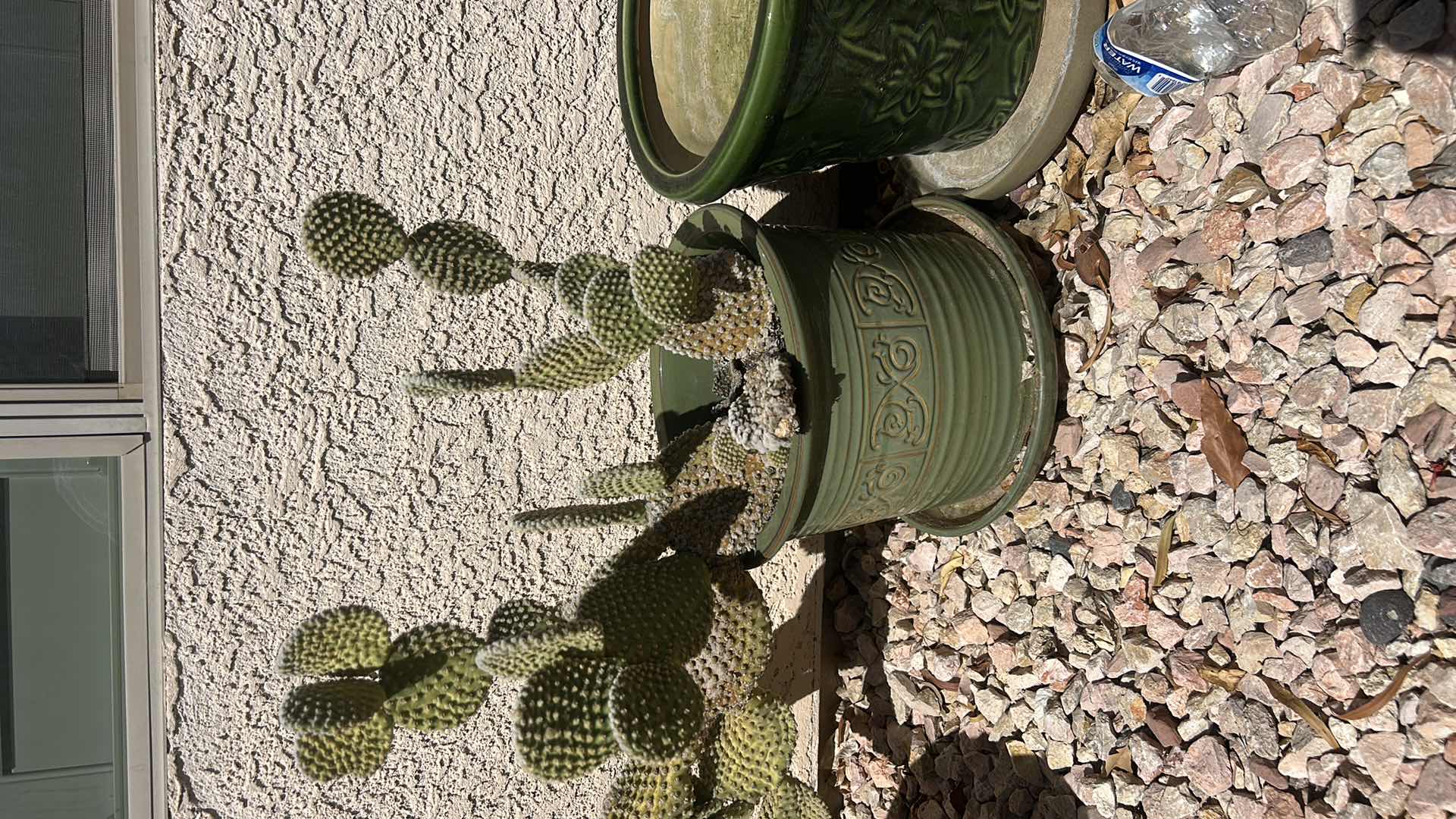 Photo 1 of OUTDOOR POTS AND LIVE CACTUS (TALLEST POT H11.5”)