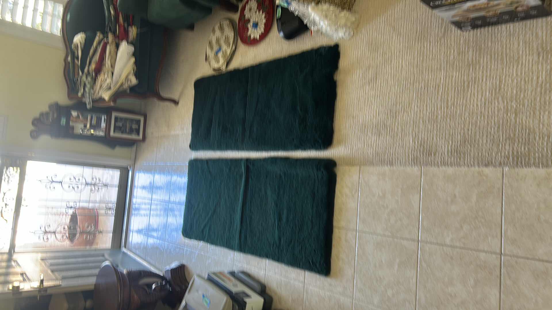 Photo 1 of 2-NEW LUXE FOREST GREEN FAUX FUR RUGS 24“ X 60“