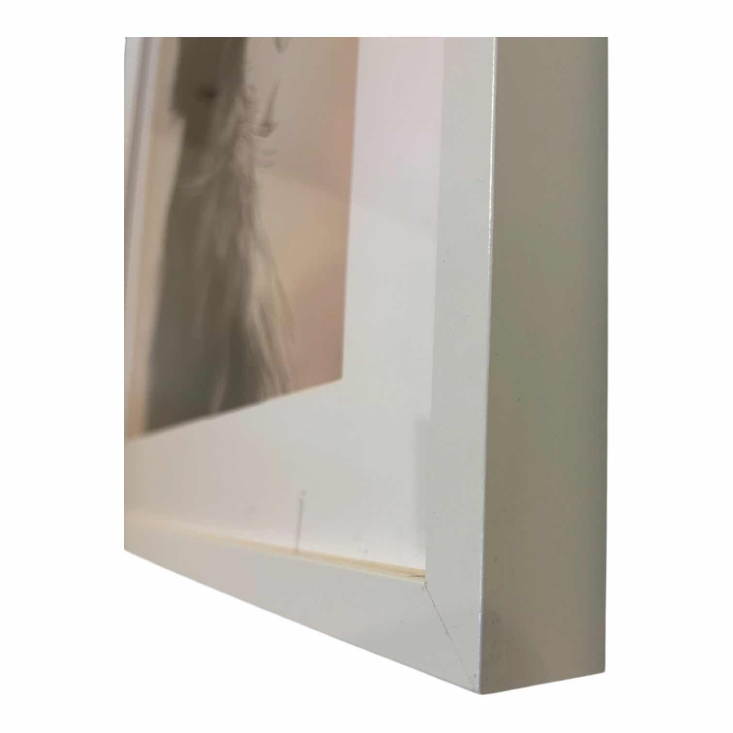 Photo 1 of WHIMSICAL FRAMED WALL ART 17” X 21”