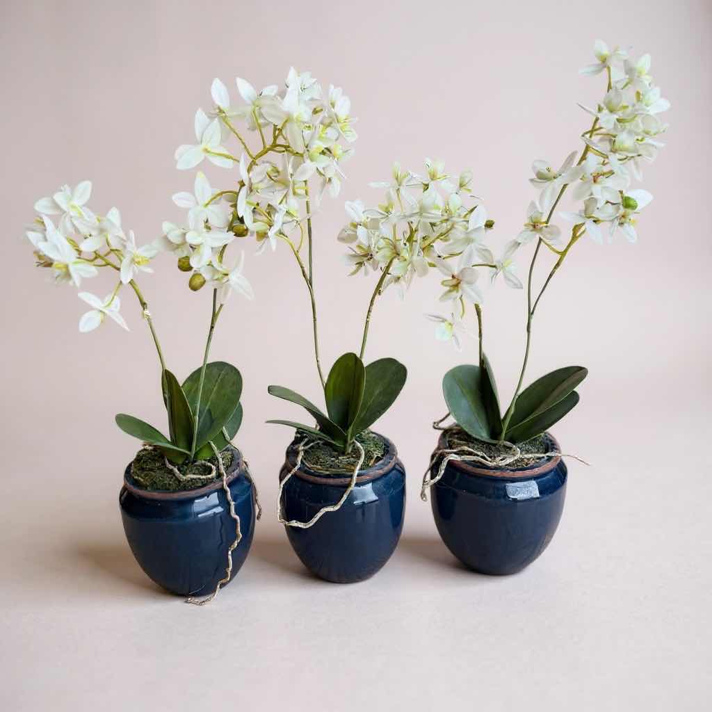 Photo 1 of 3-FAUX ORCHIDS IN BLUE CERAMIC POTS D4” H17”