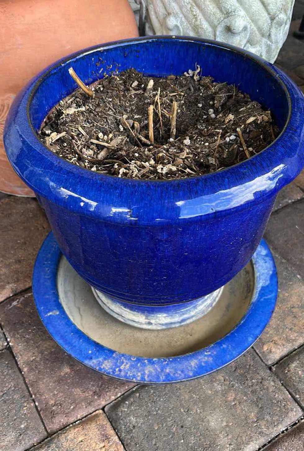 Photo 1 of ASSORTED OUTDOOR POTS