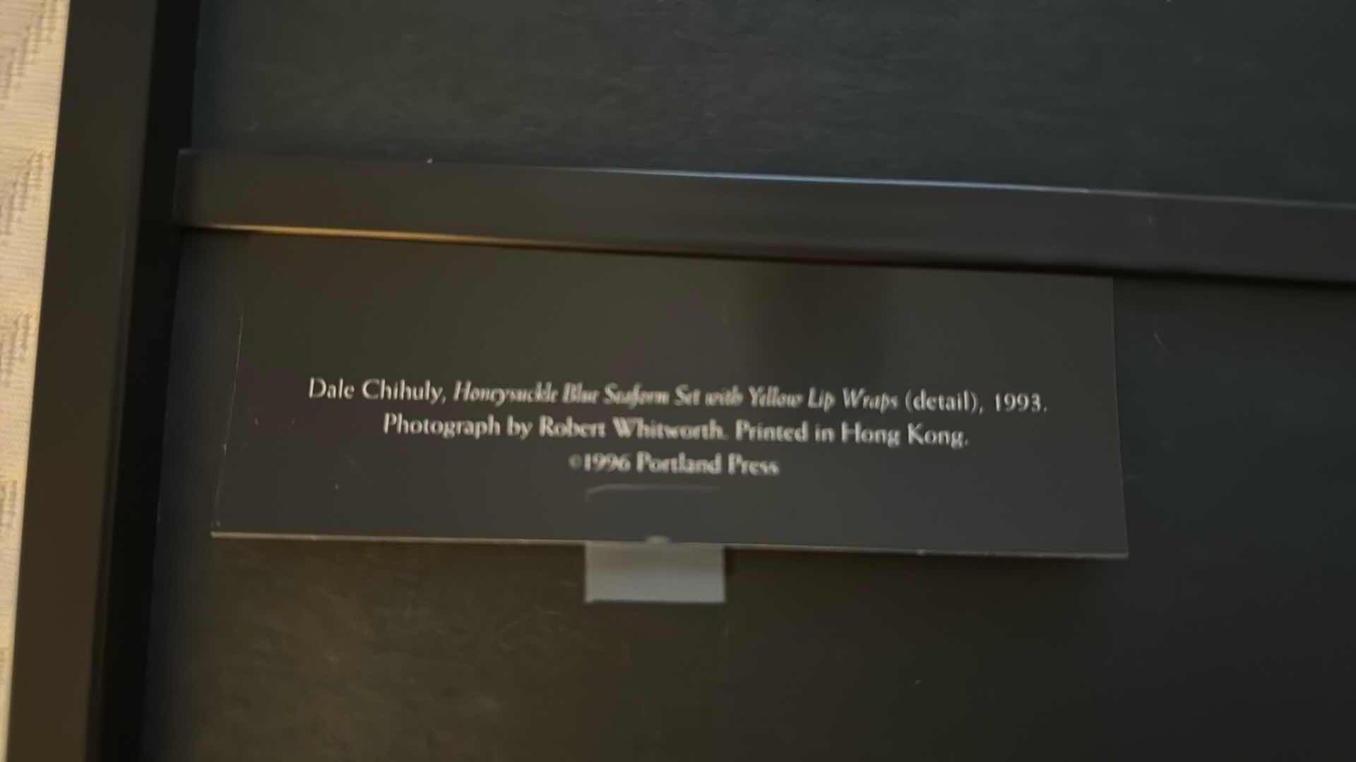 Photo 1 of FRAME "CHIHULY" ARTWORK 20” x 10”