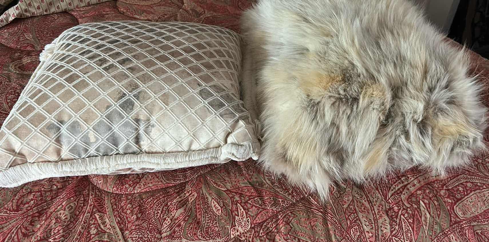Photo 1 of 4- DECORATIVE PILLOWS FURRY LACE