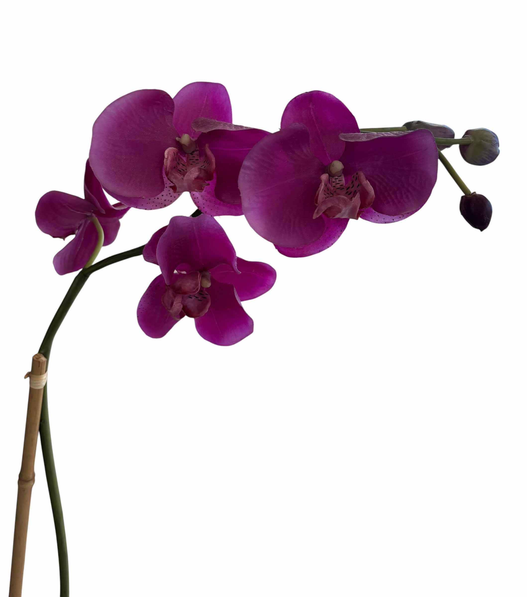 Photo 1 of ARTIFICIAL PLANTS (2) ORCHID H28” & PALM H21”