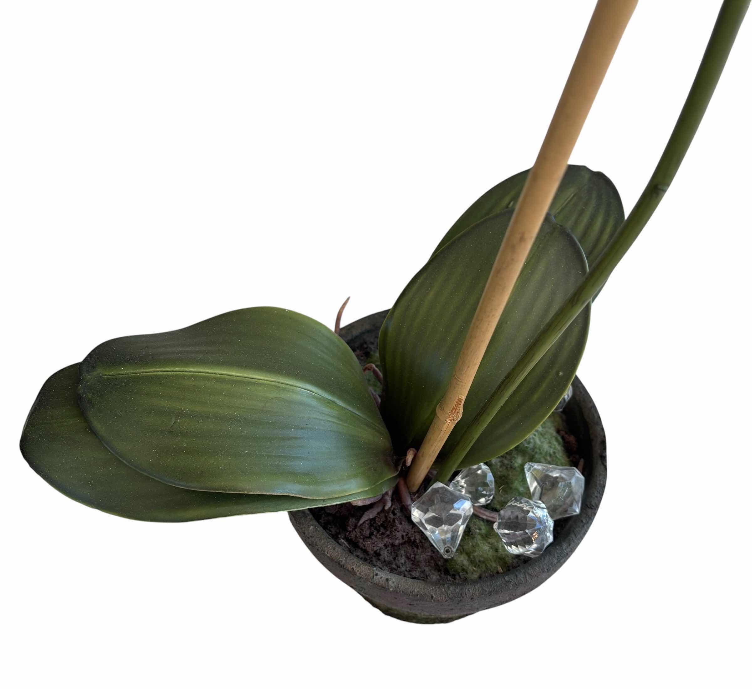 Photo 1 of ARTIFICIAL PLANTS (2) ORCHID H28” & PALM H21”