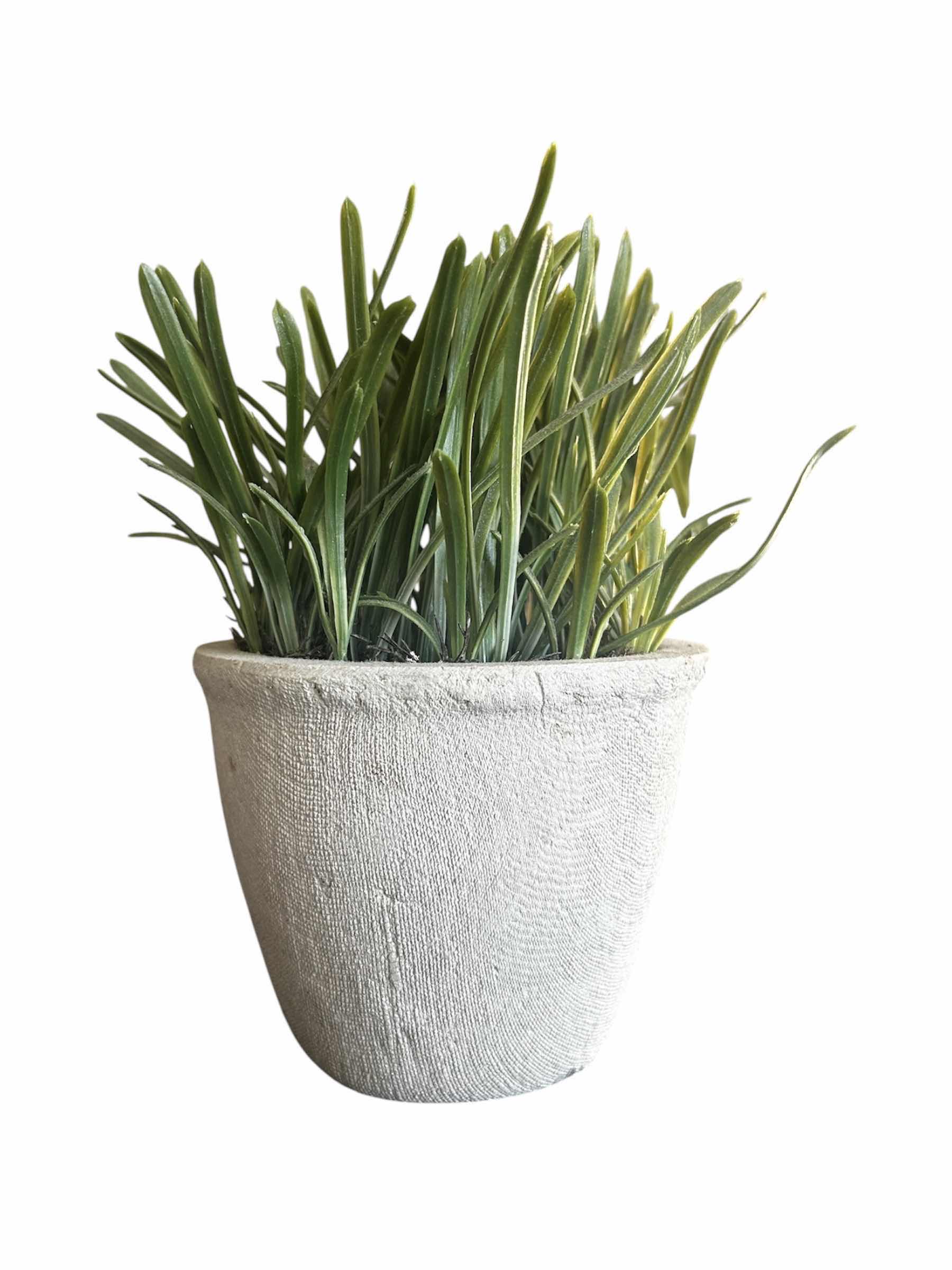 Photo 1 of ARTIFICIAL PLANTS (3) H9"