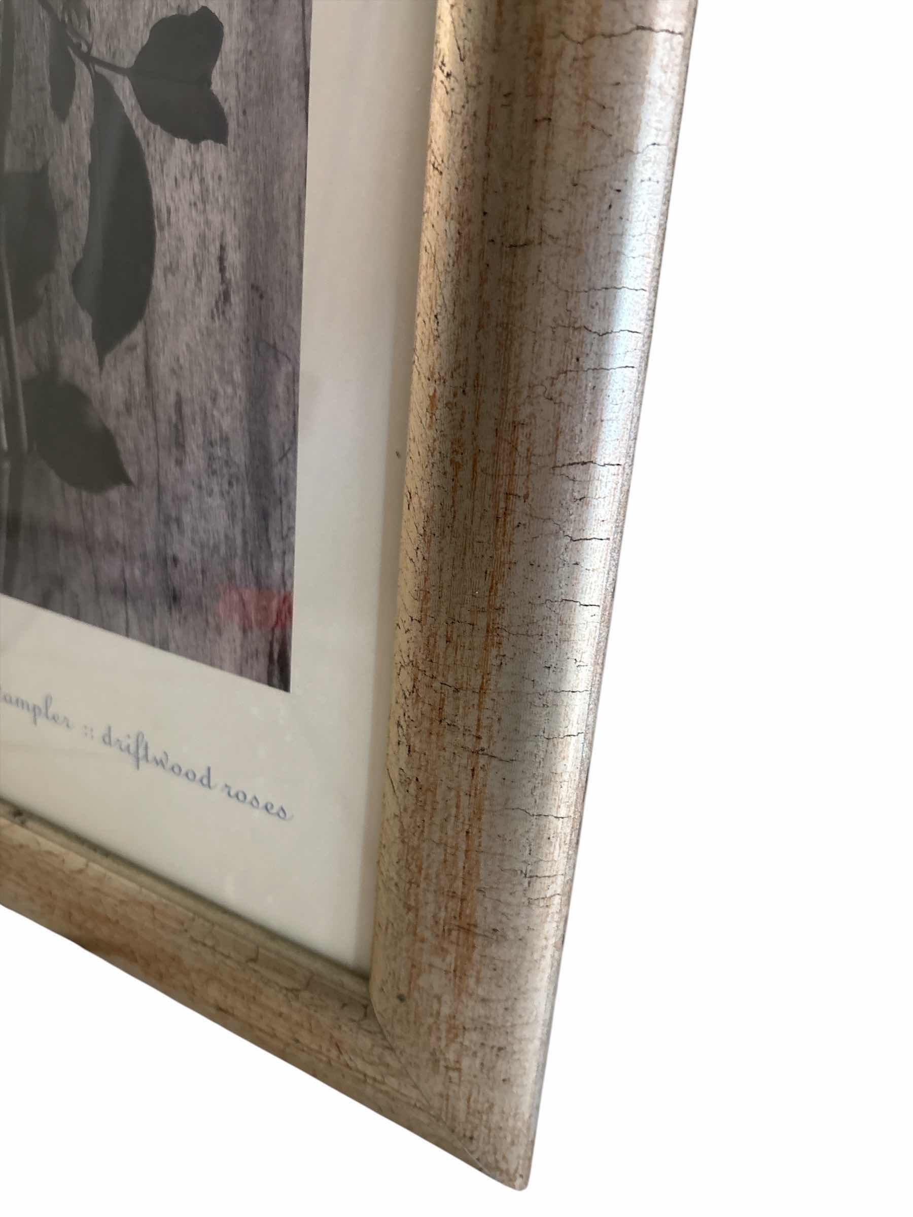Photo 1 of FRAMED ART FLORAL PRINT TITLED “SANDRA SAMPLER: DRIFTWOOD ROSES” IN BRUSHED SILVER FRAME 10”X22” $597