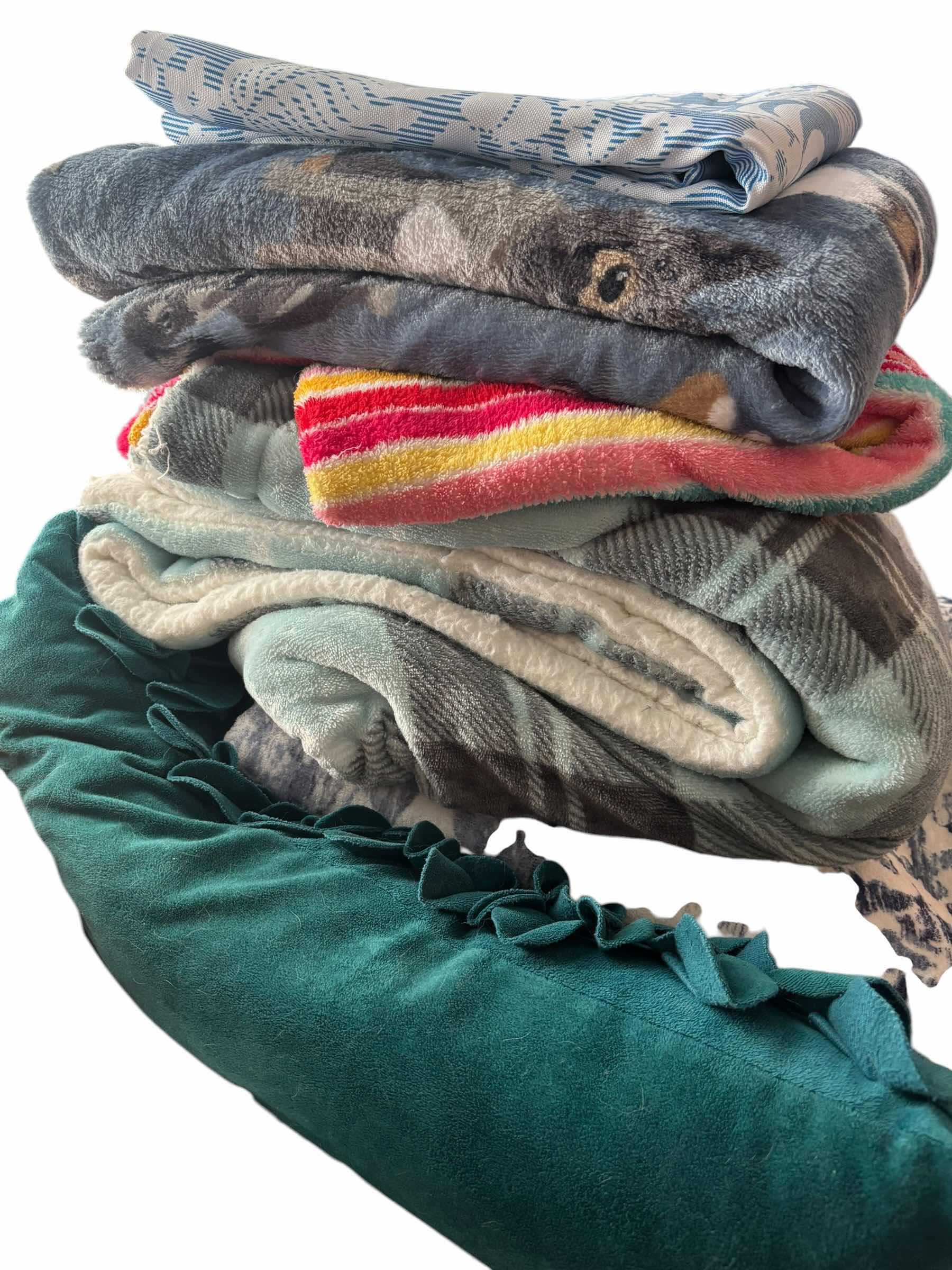 Photo 1 of DECORATIVE PILLOWS, BLANKETS & RUGS