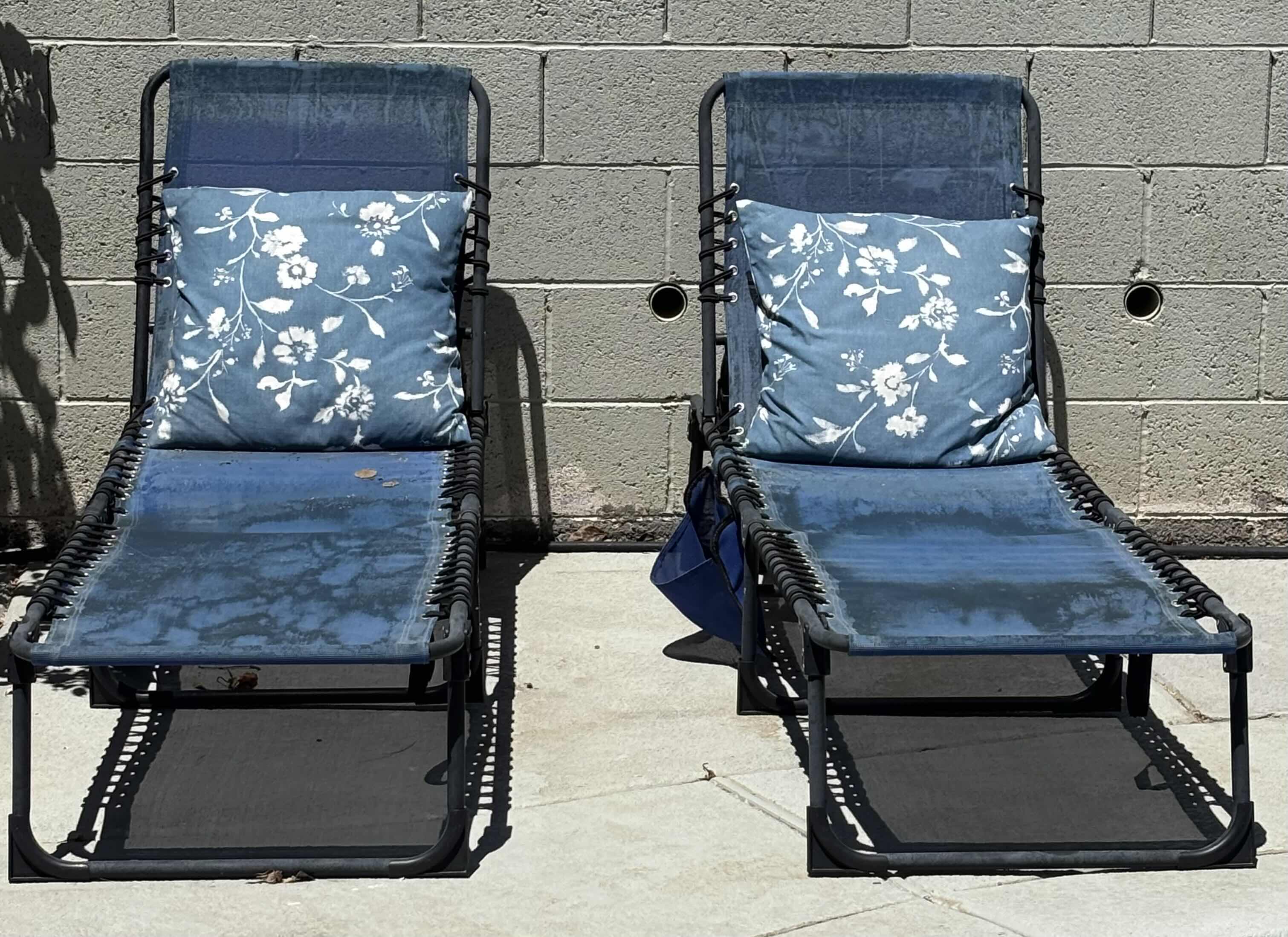 Photo 1 of OUTDOOR LOUNGERS WITH PILLOWS (2)
