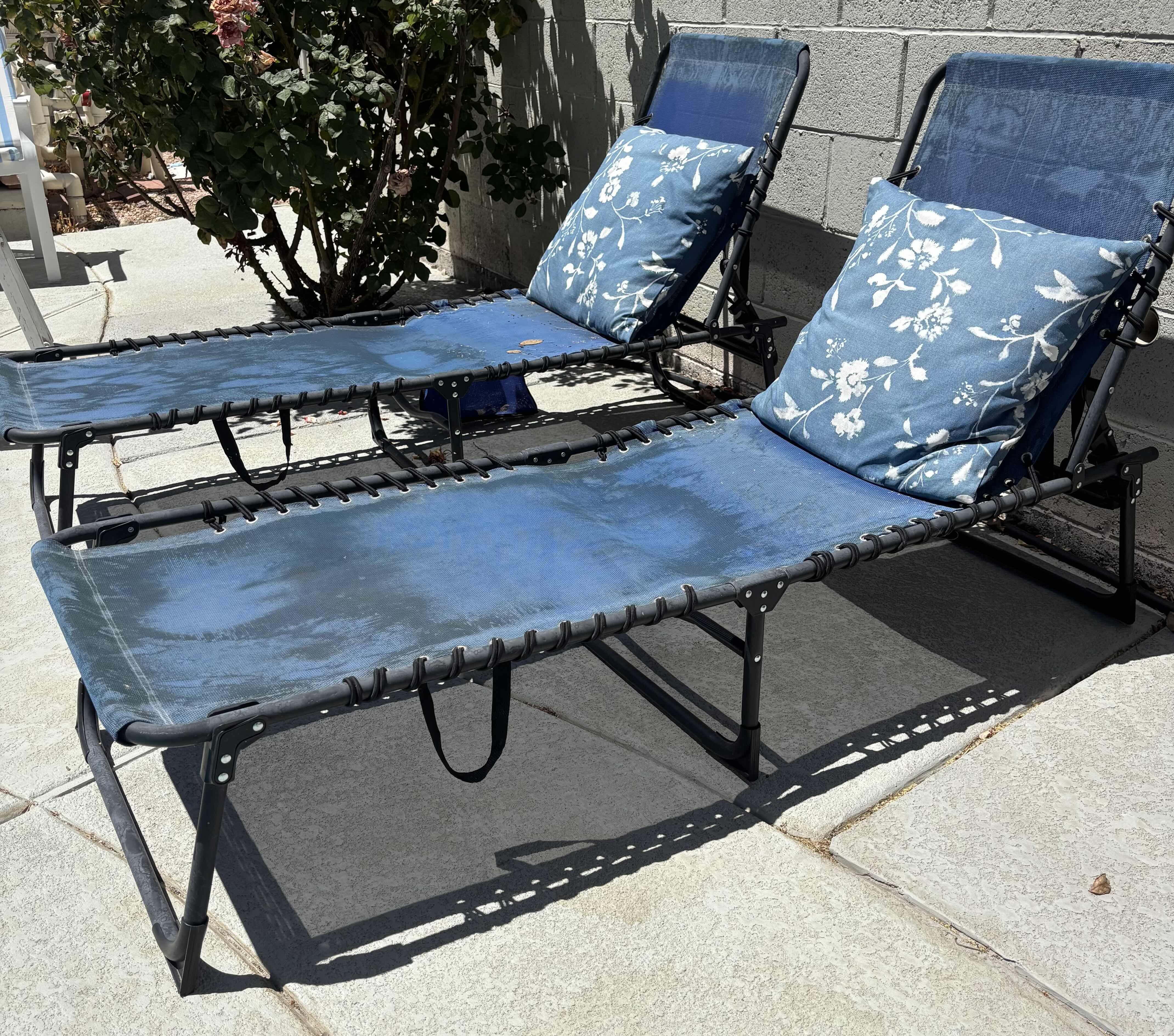 Photo 1 of OUTDOOR LOUNGERS WITH PILLOWS (2)