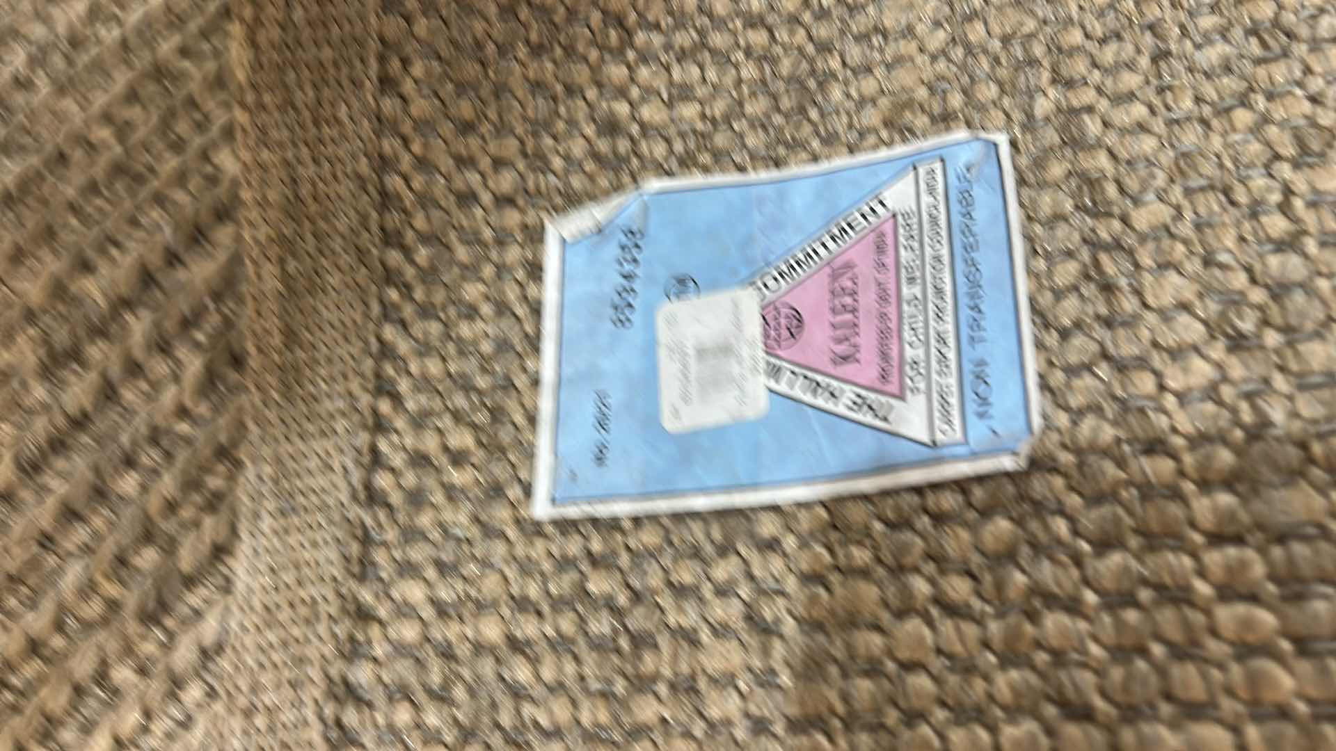 Photo 1 of AREA RUG FROM POTTERY BARN 58” X 8’