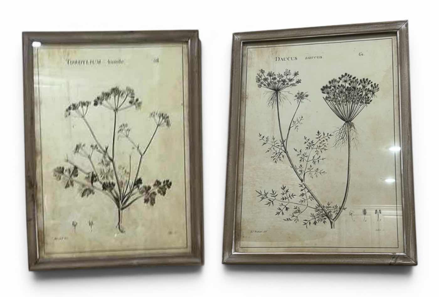 Photo 1 of 2 WOOD FRAMED BOTANICAL ARTWORK PIECES17 1/2” X H23 1/2”