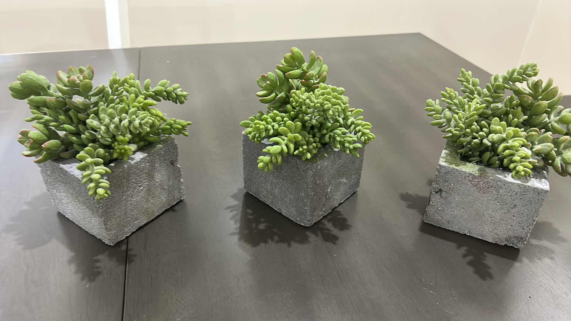 Photo 1 of 6 PC HOME DECOR - FAUX PLANTS H6.5”