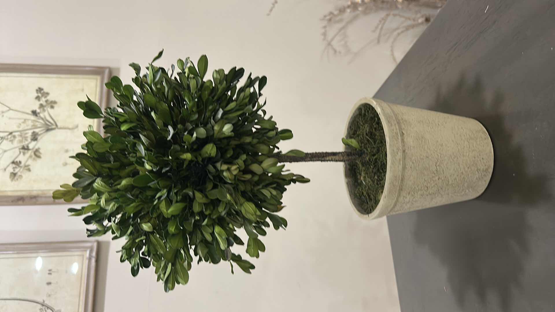 Photo 1 of 3 PC HOME DECOR- FLORAL AND GREENERY ARRANGEMENTS (TALLEST 17”)