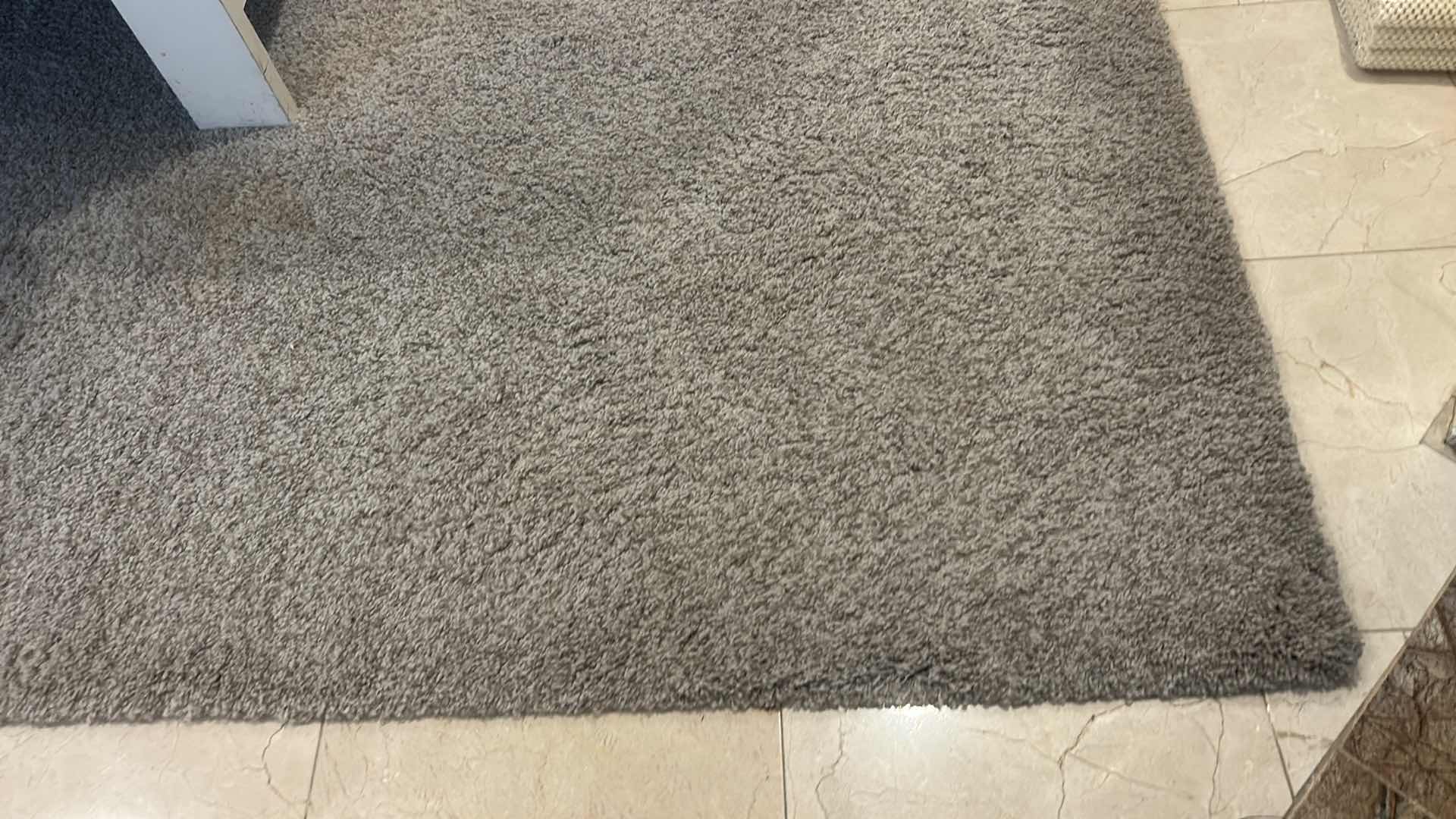 Photo 1 of CARAMEX STAINMASTER AREA RUG 91” x 106 inches