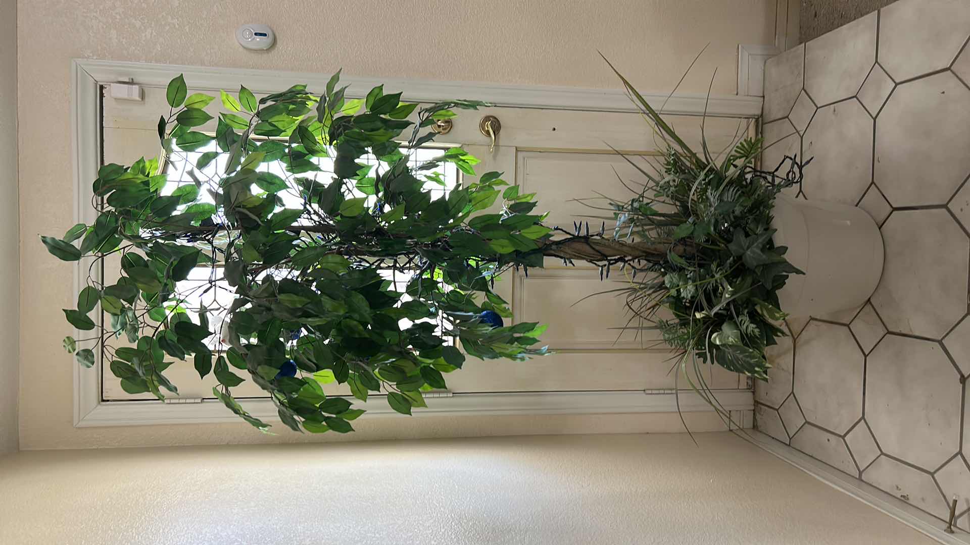 Photo 1 of ARTIFICIAL FICUS TREE IN A WHITE CERAMIC POT H6’