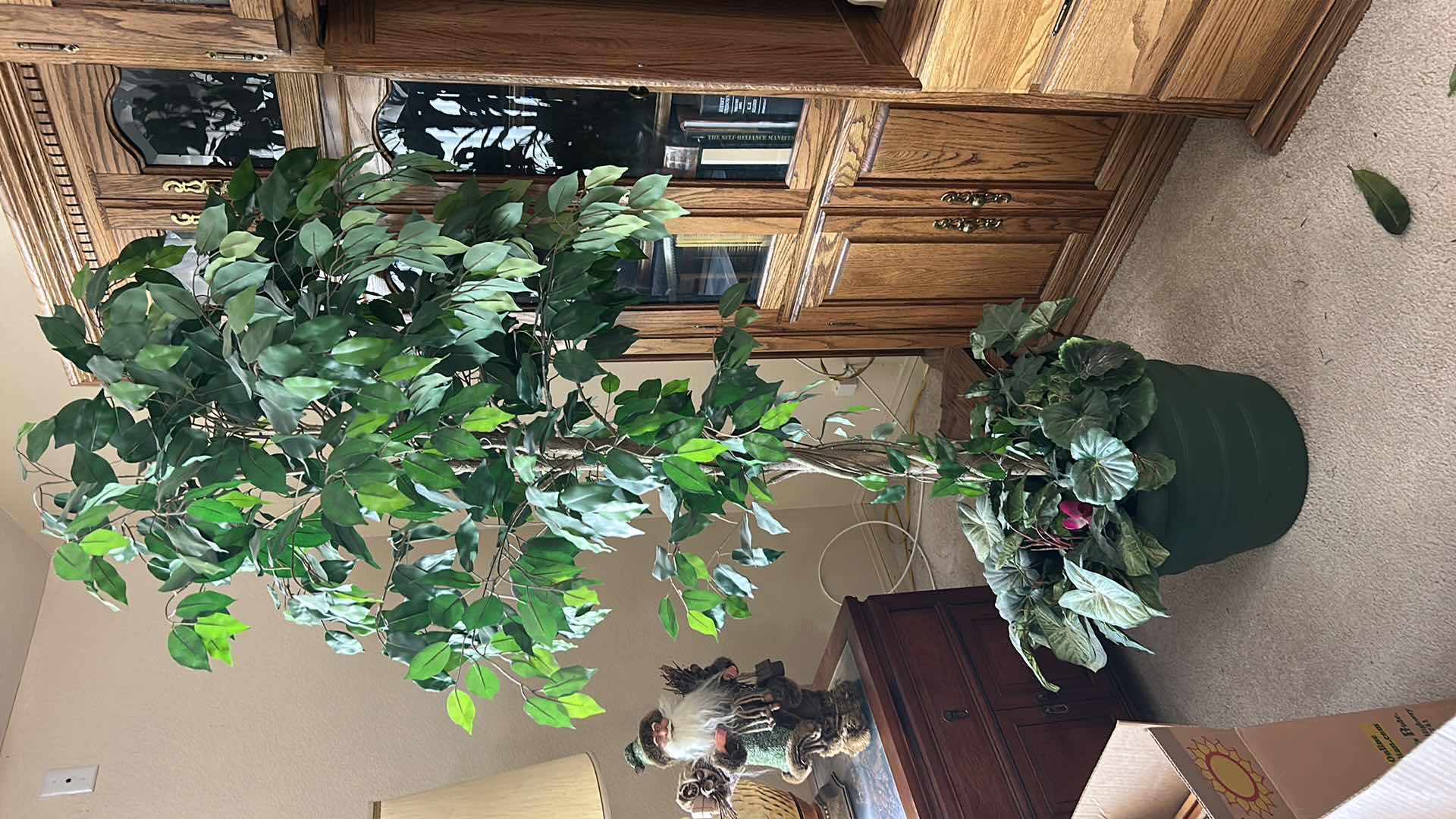 Photo 1 of ARTIFICIAL FICUS TREE H6’