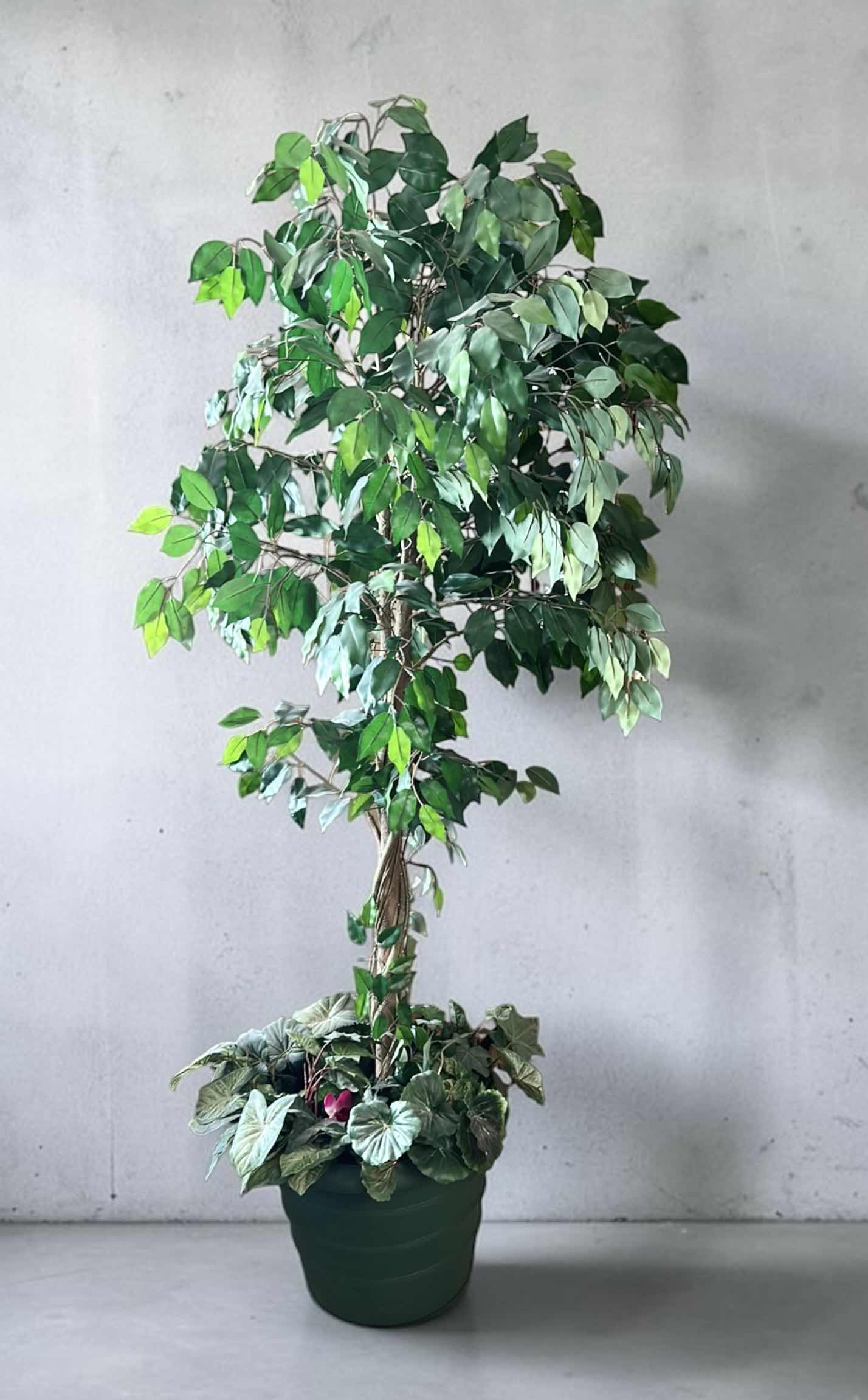Photo 1 of ARTIFICIAL FICUS TREE H6’