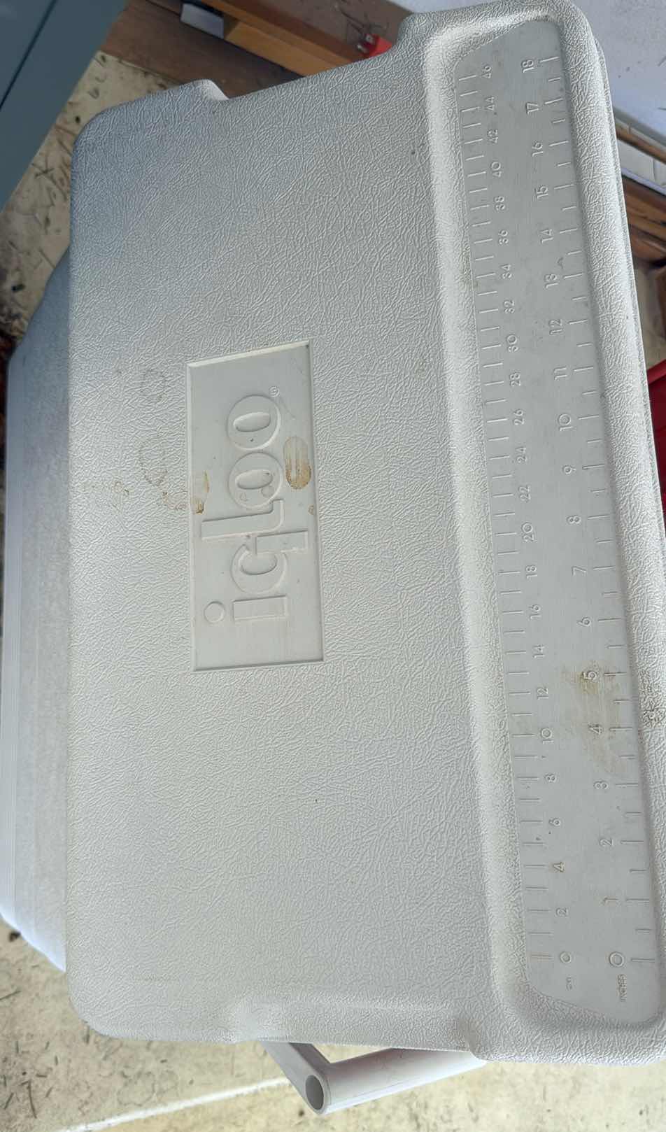Photo 1 of IGLOO COOLER W/ ASSORTED LIGHT BULBS