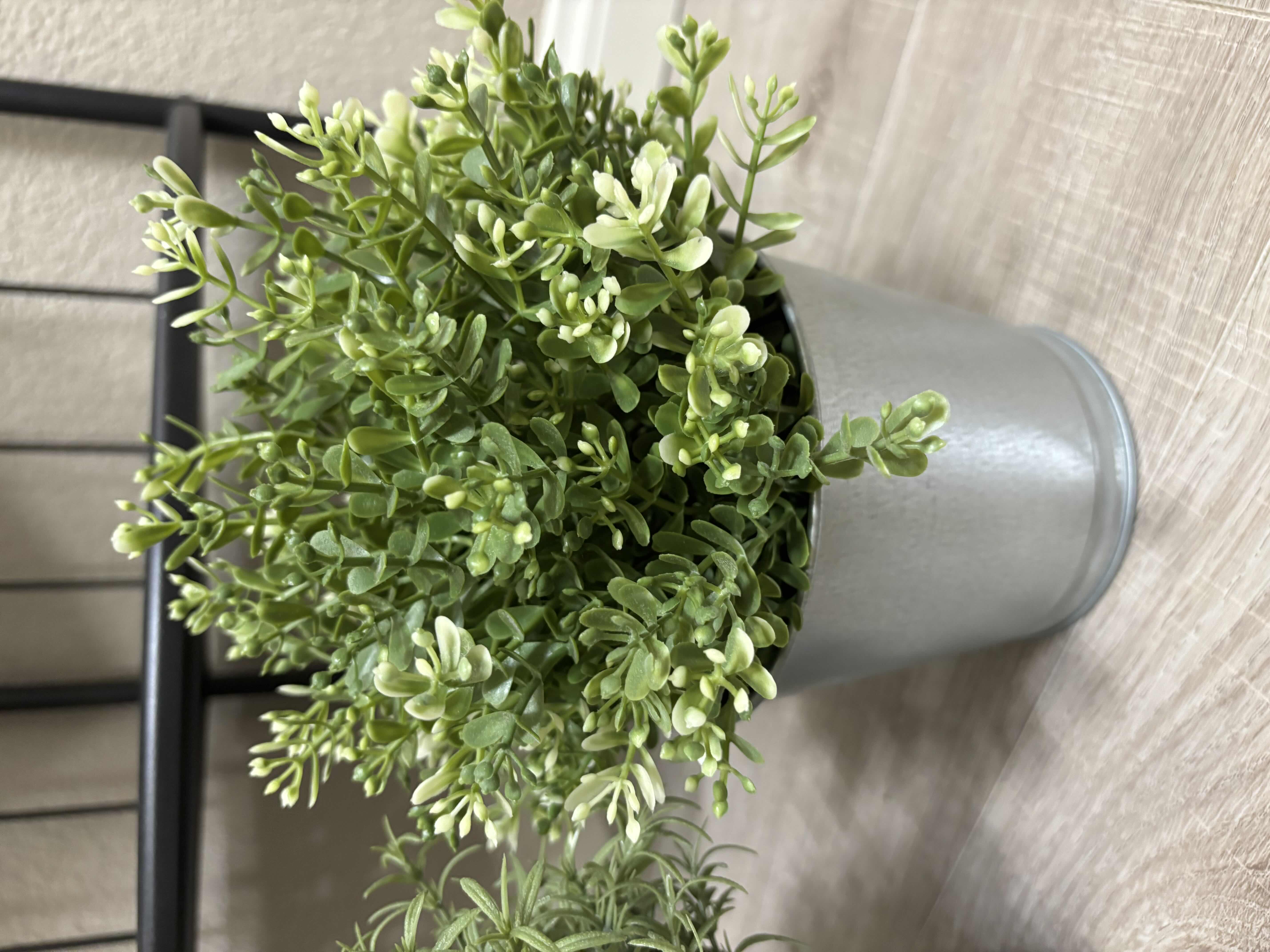 Photo 1 of FIVE ARTIFICIAL PLANTS IN METAL POTS H10”