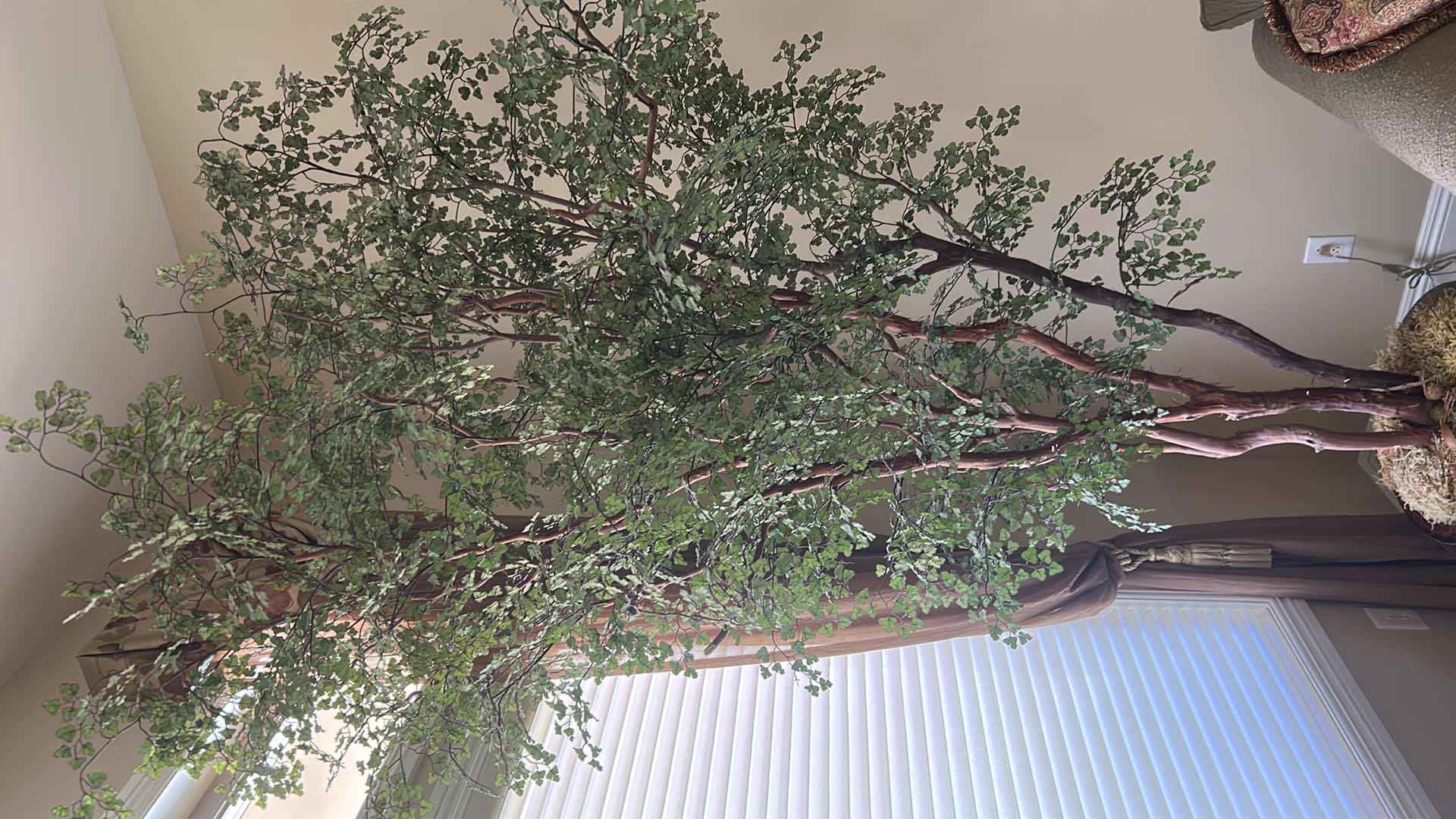 Photo 1 of 8FT SULLIVANS ARTIFICIAL TOWERING LACE FERN TREE IN A BROWN CERAMIC PLANTER