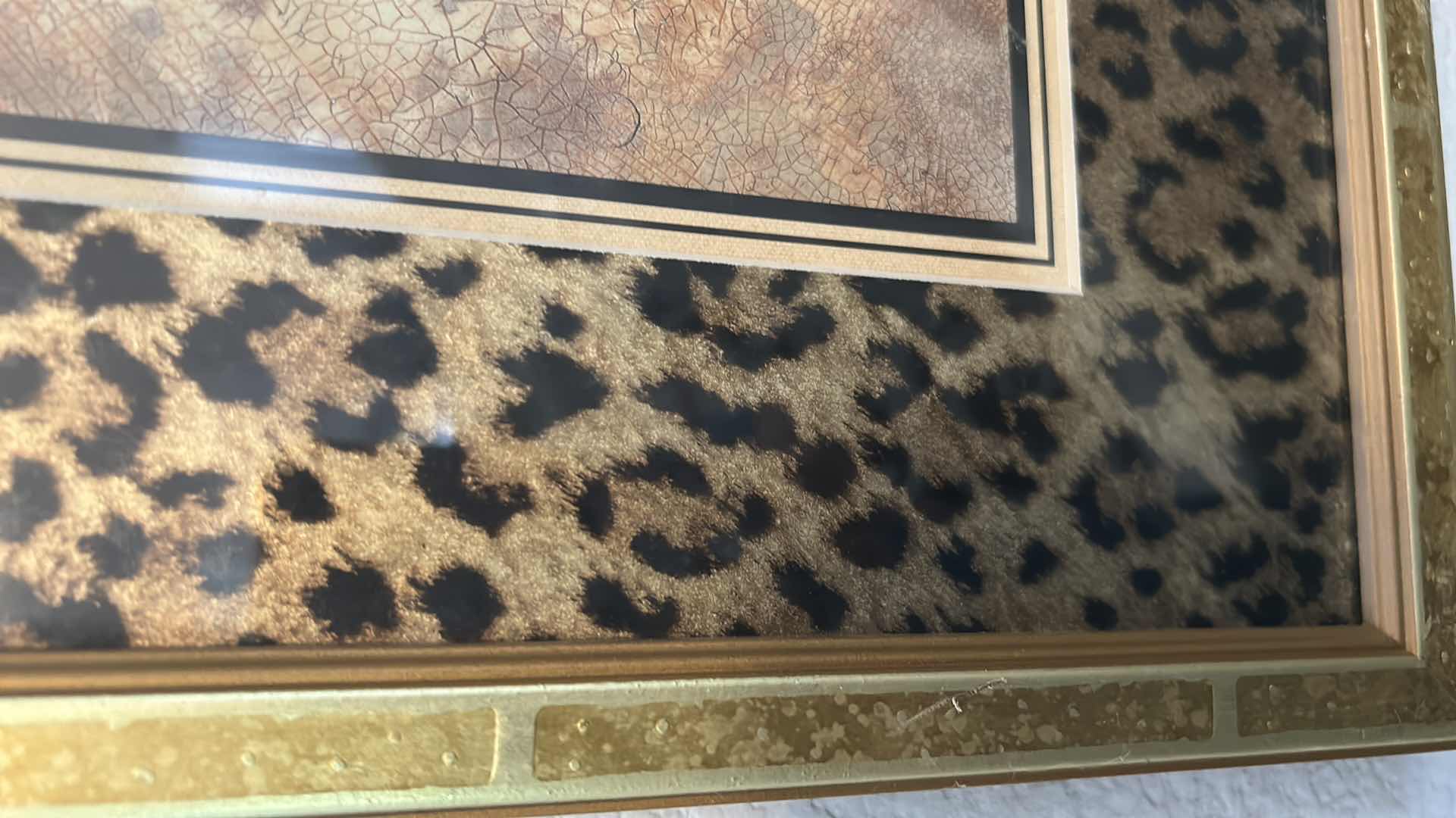 Photo 1 of GOLD FRAMED CHEETAH PRINT ART 19" X 21"