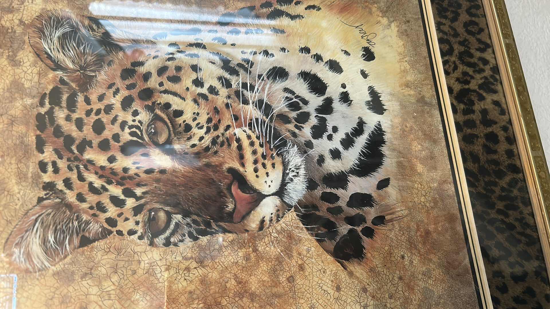 Photo 1 of GOLD FRAMED CHEETAH PRINT ART 19" X 21"