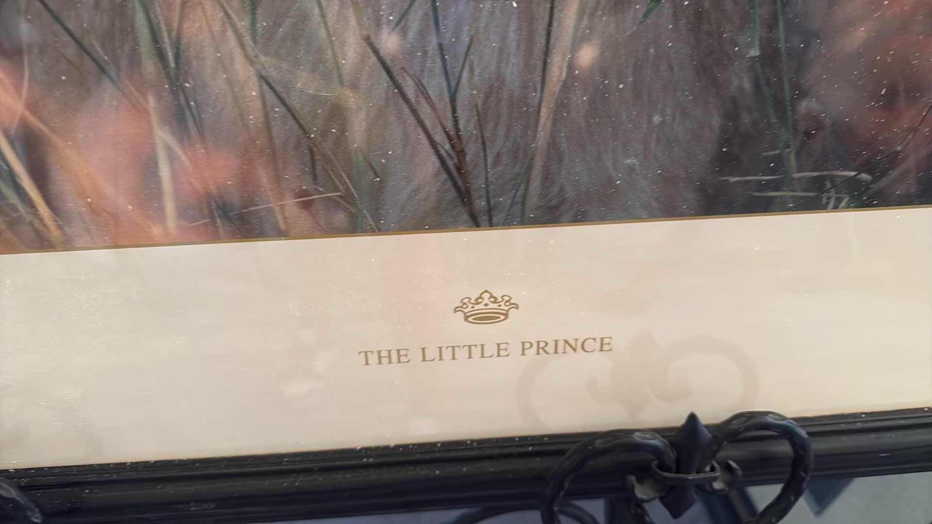 Photo 1 of Framed “the TLE PRINCE” PICTURE 39”x27”