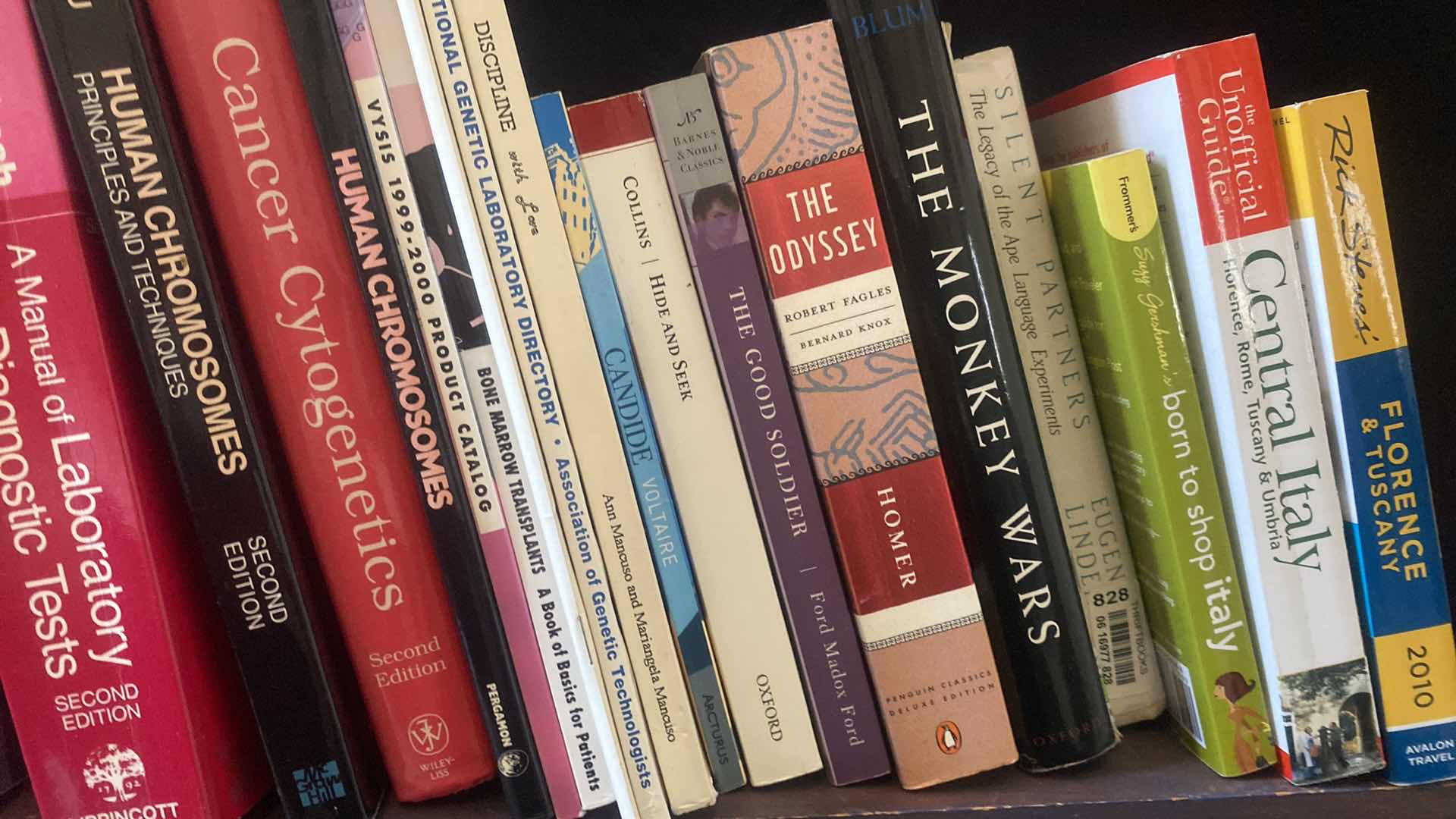 Photo 1 of SHELF OF BOOKS