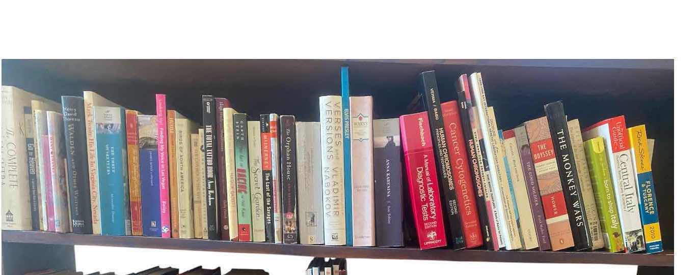 Photo 1 of SHELF OF BOOKS