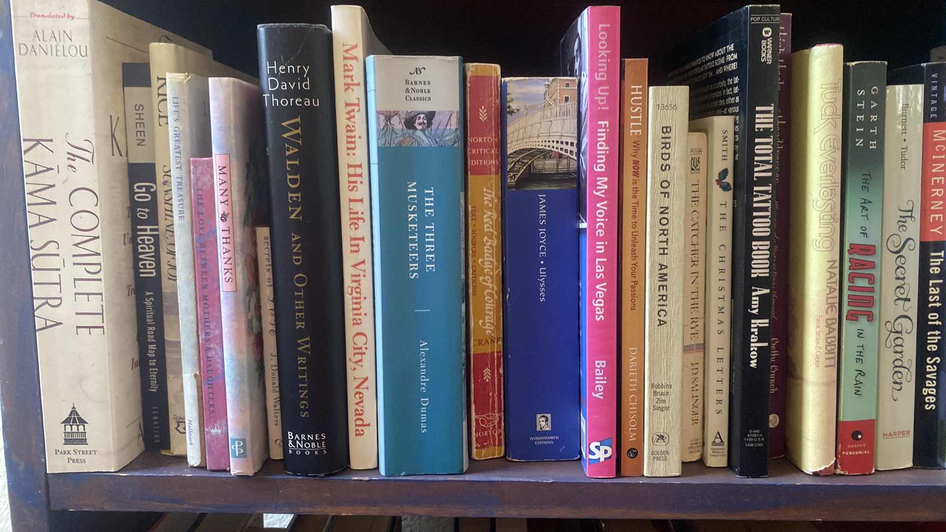 Photo 1 of SHELF OF BOOKS