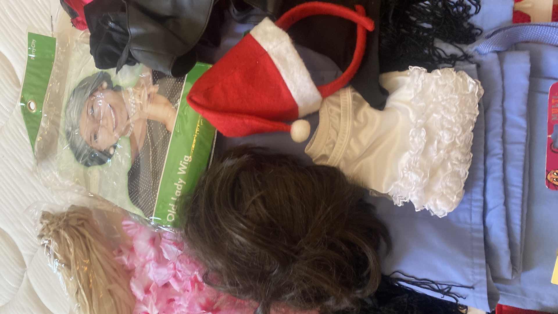 Photo 1 of HALLOWEEN COSTUMES AND ACCESSORIES