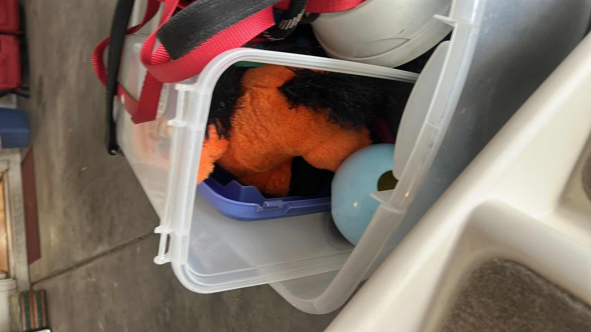 Photo 1 of DOG SUPPLIES
