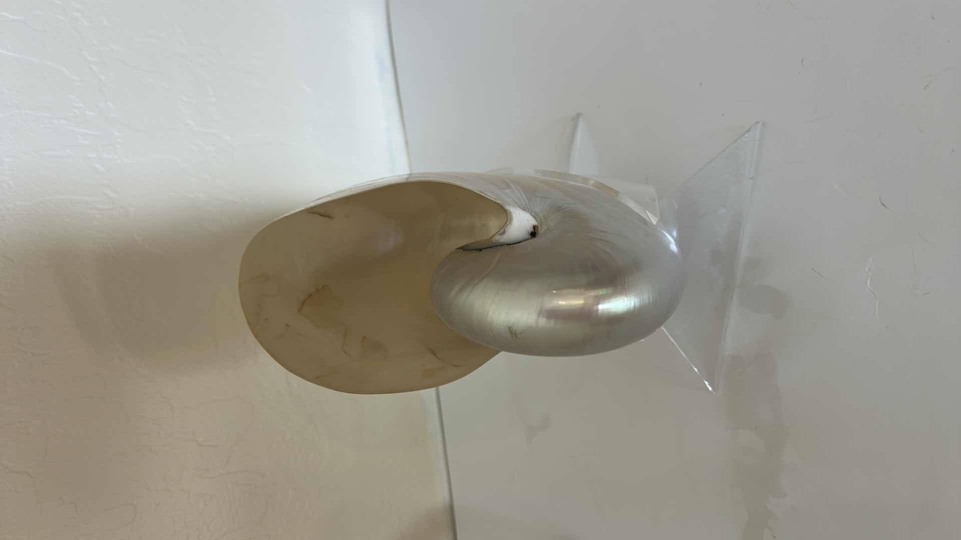 Photo 1 of HOME DECOR- ROYAL CRYSTAL ROCK TANGO FIGURINE 24% LEAD CRYSTAL SCULPTURE OF A DANCING COUPLE MADE IN ITALY AND SHELL ON STAND (TALLEST H10”)