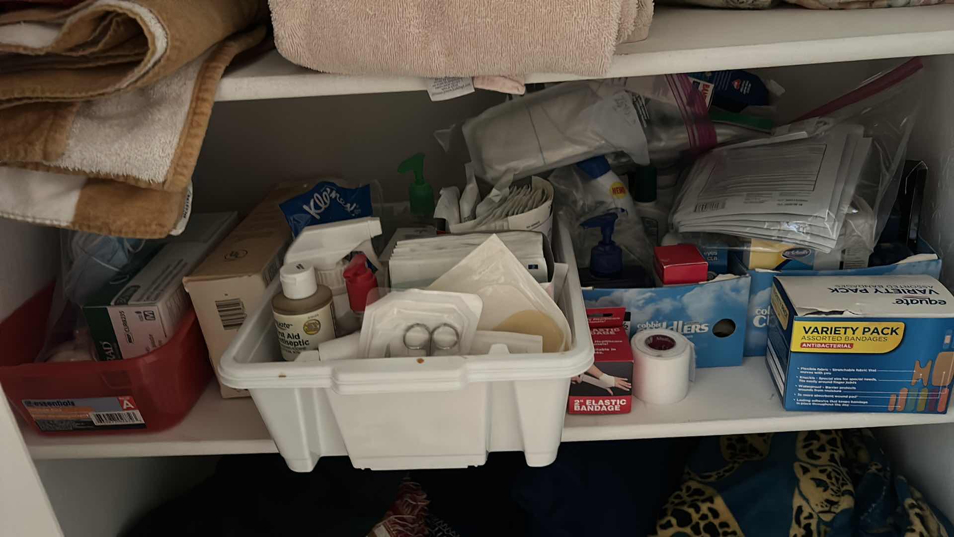 Photo 1 of CONTENTS OF LINEN CLOSET