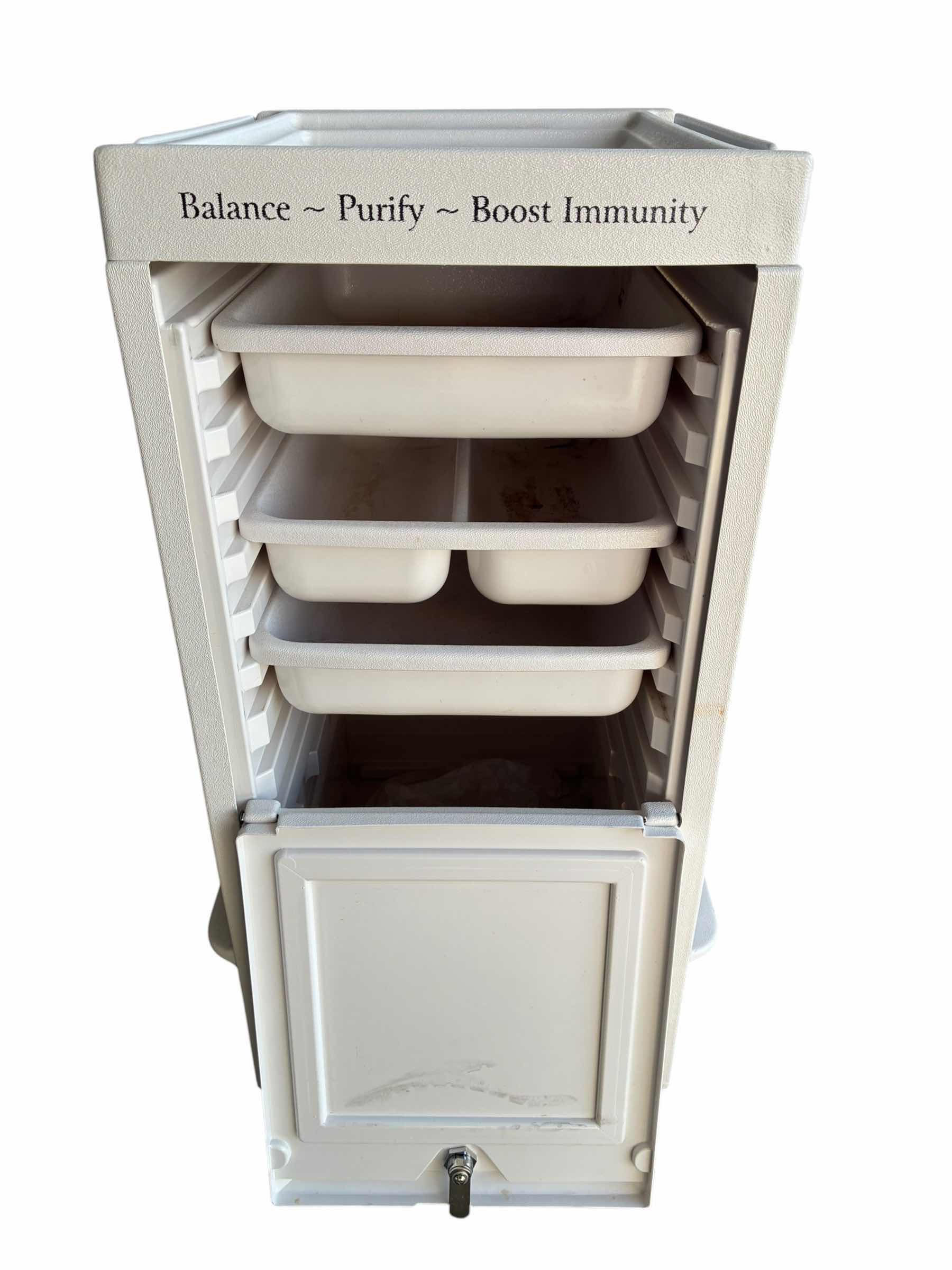 Photo 1 of THE ION DETOX FOOT SPA CART (CART ONLY)