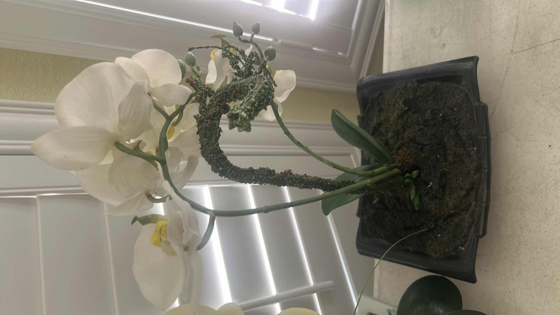 Photo 1 of 4- FAUX ARRANGEMENTS ORCHID TULIPS