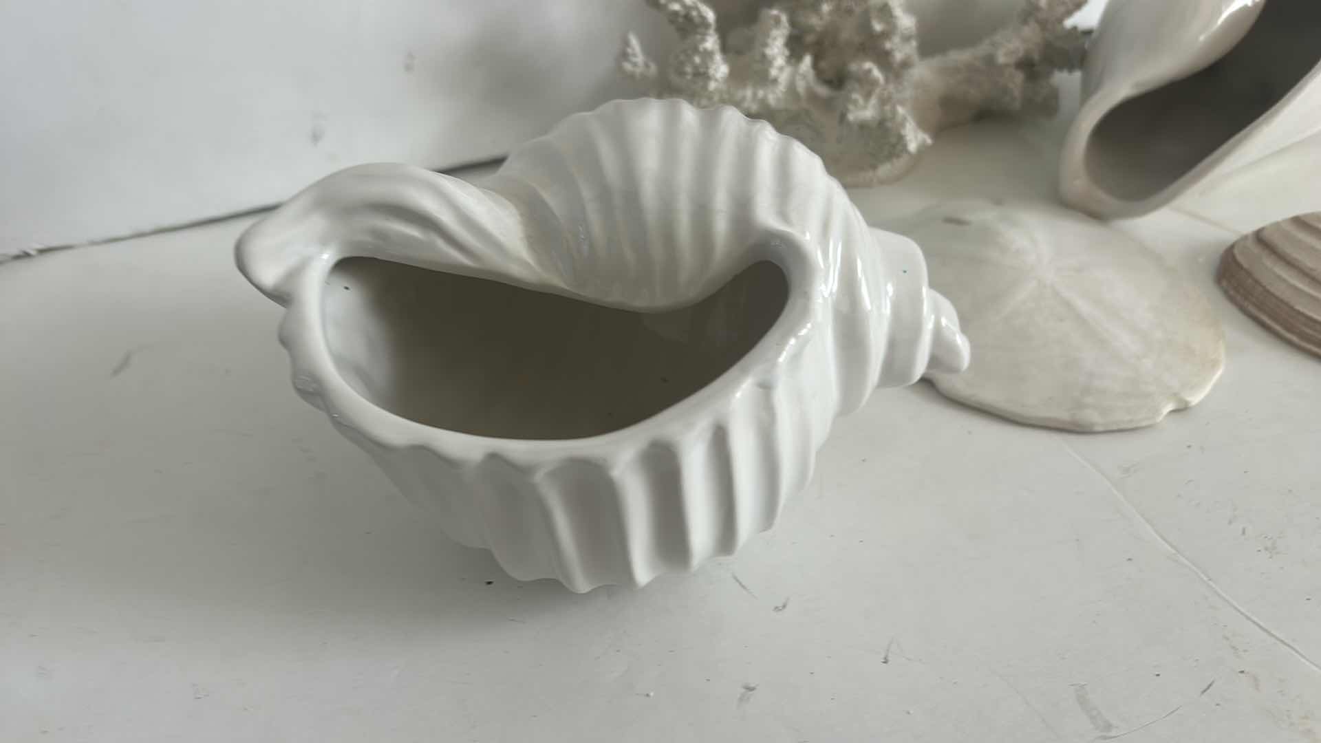Photo 1 of SHELL & CORAL HOME DECOR (TALLEST H12”)