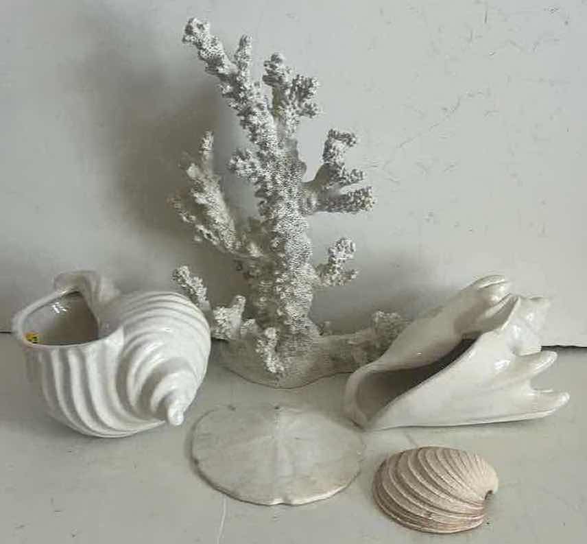 Photo 1 of SHELL & CORAL HOME DECOR (TALLEST H12”)