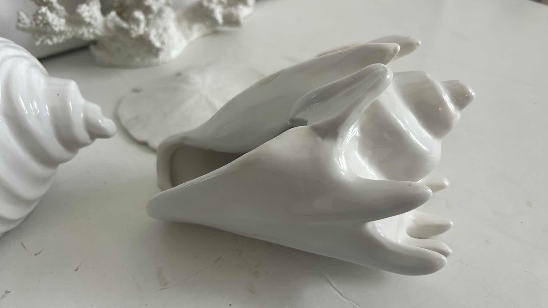 Photo 1 of SHELL & CORAL HOME DECOR (TALLEST H12”)