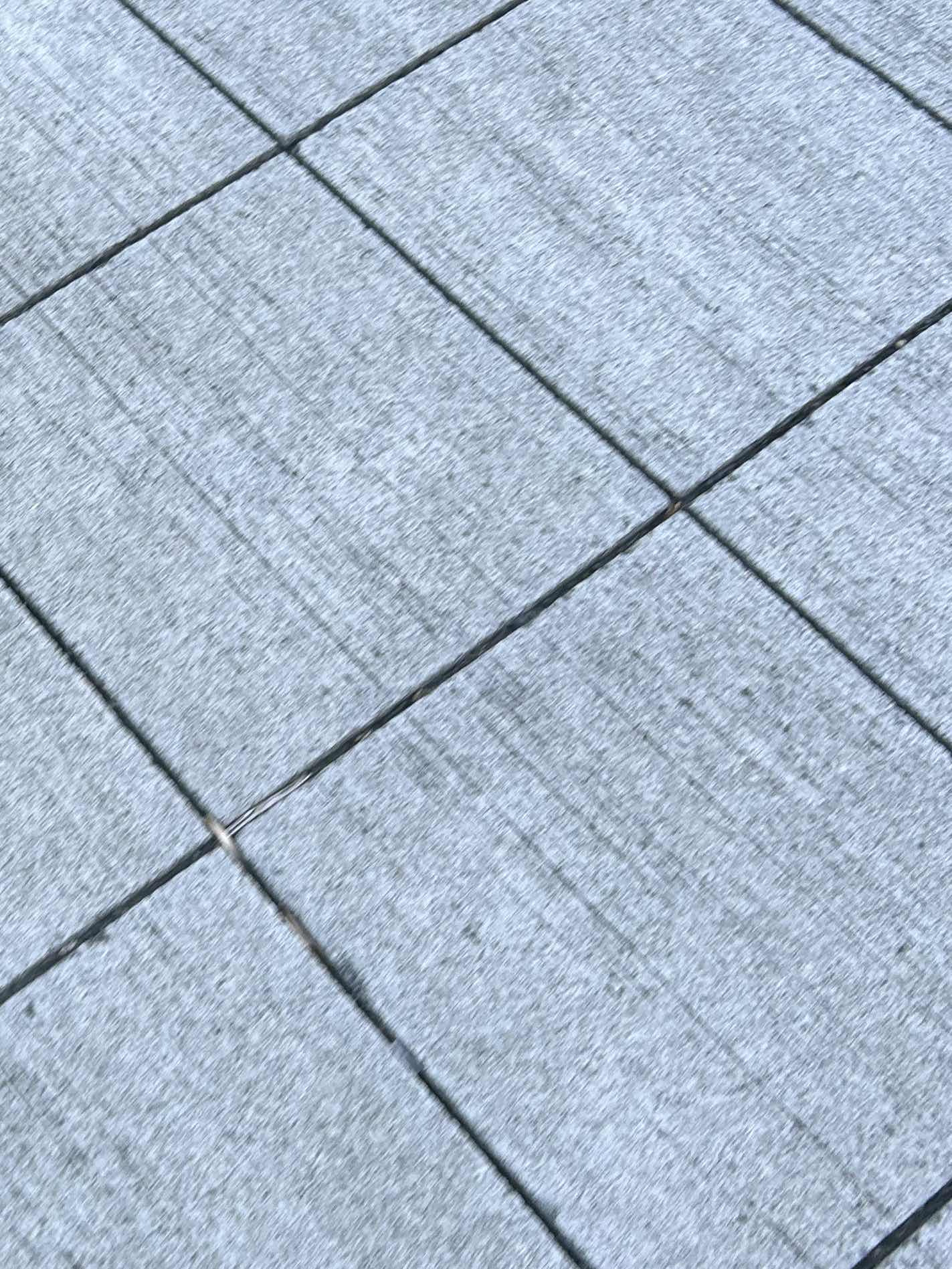 ないものねだり