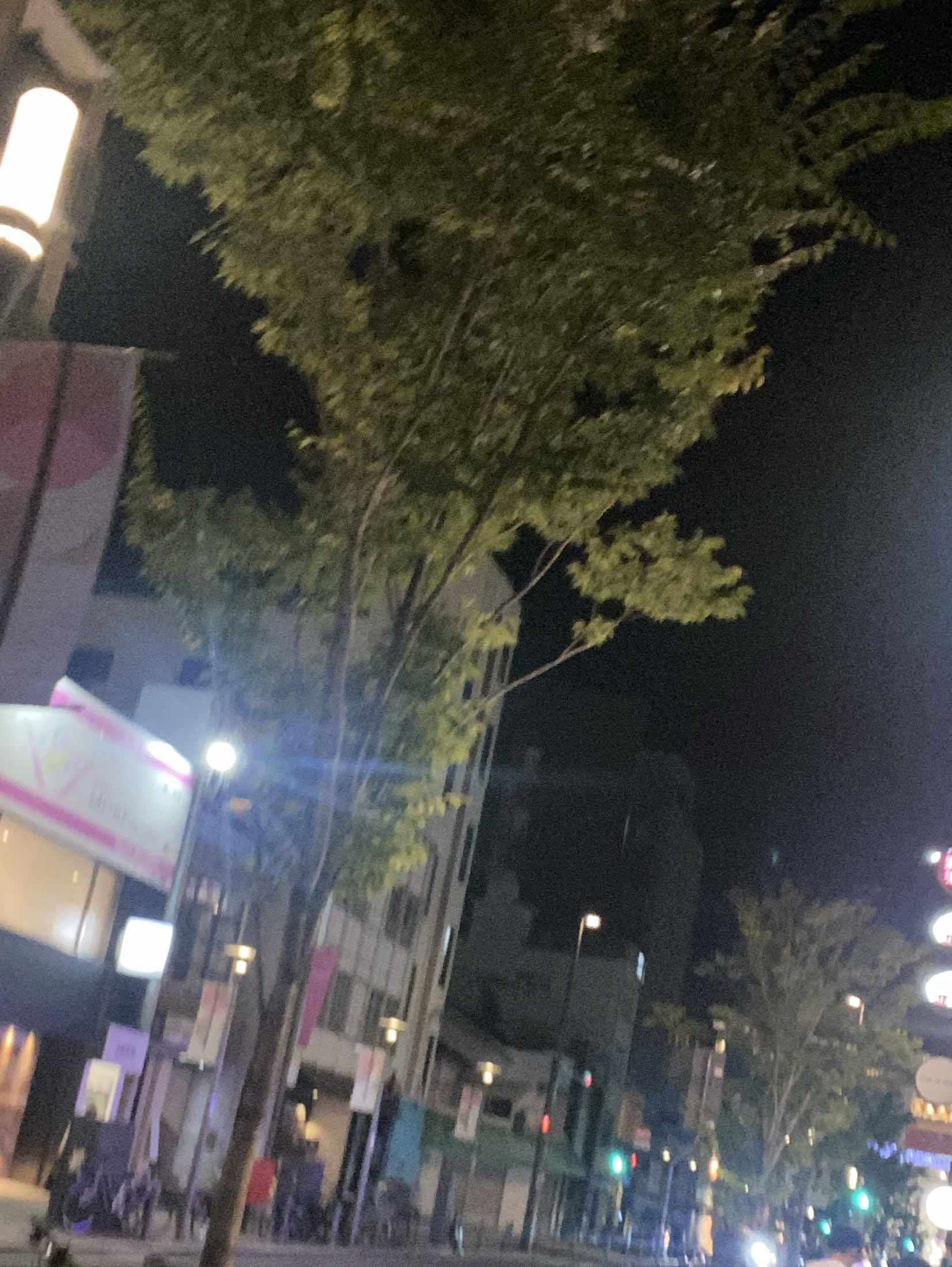 花舞台