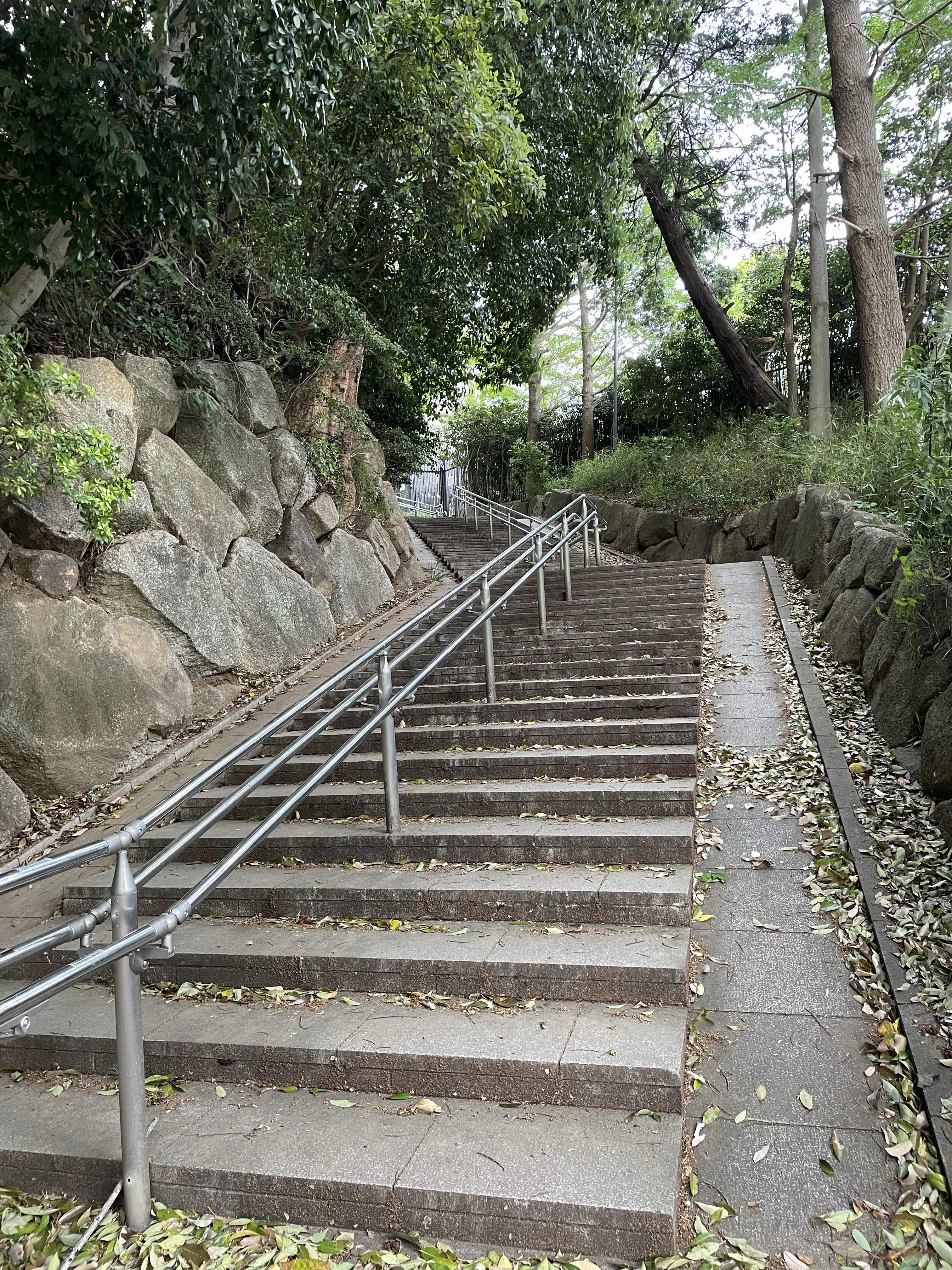 くじ運の人生