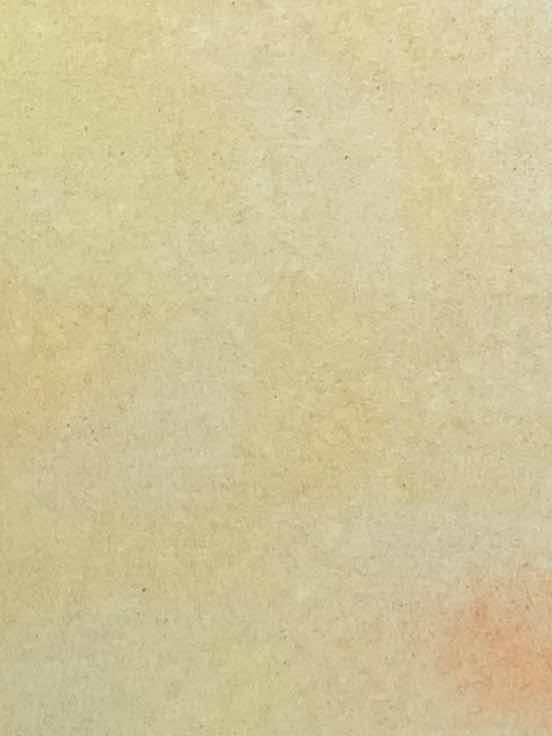 うららかな陽の光の中で