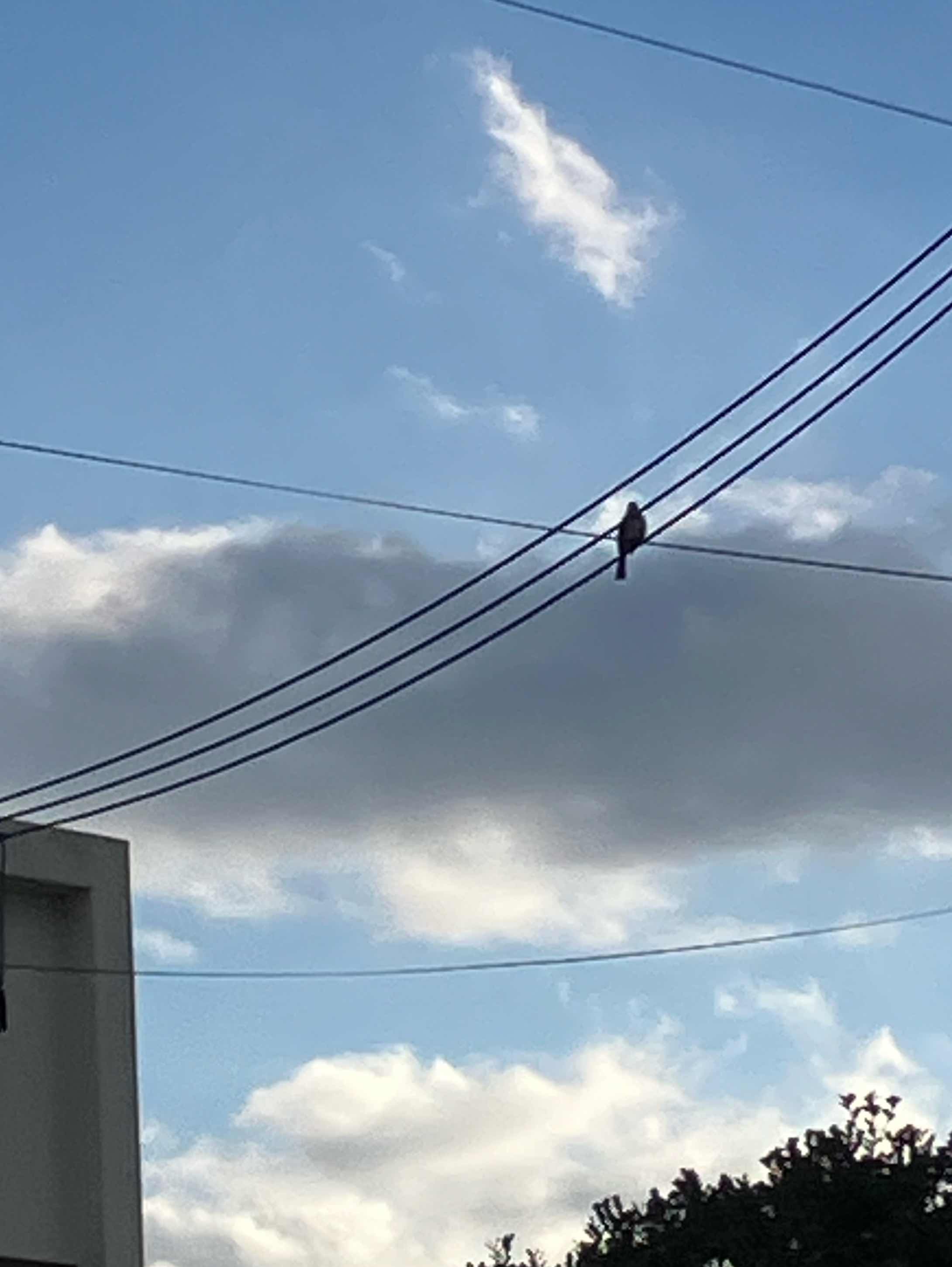 何気ない日常