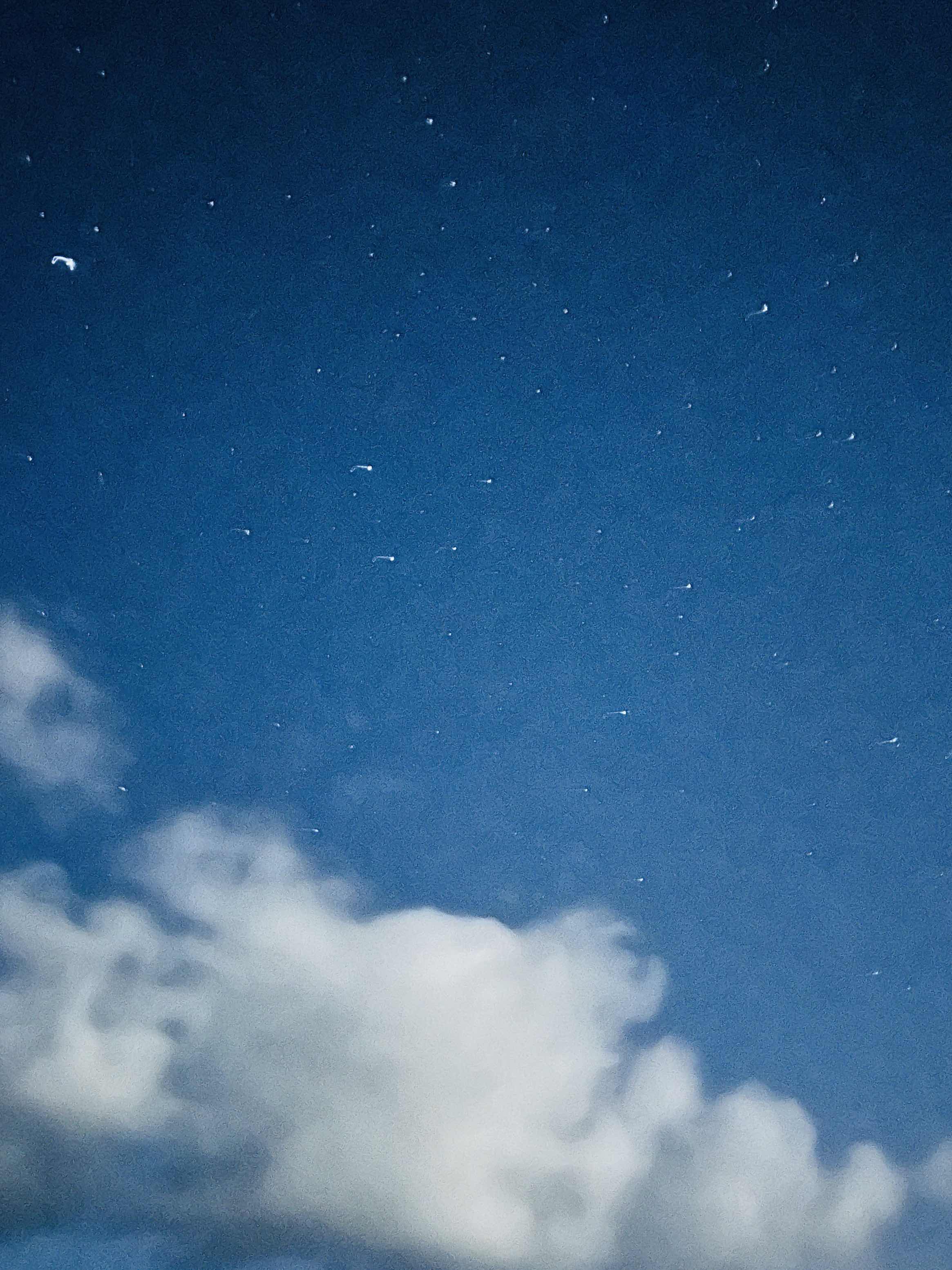 夜の住人