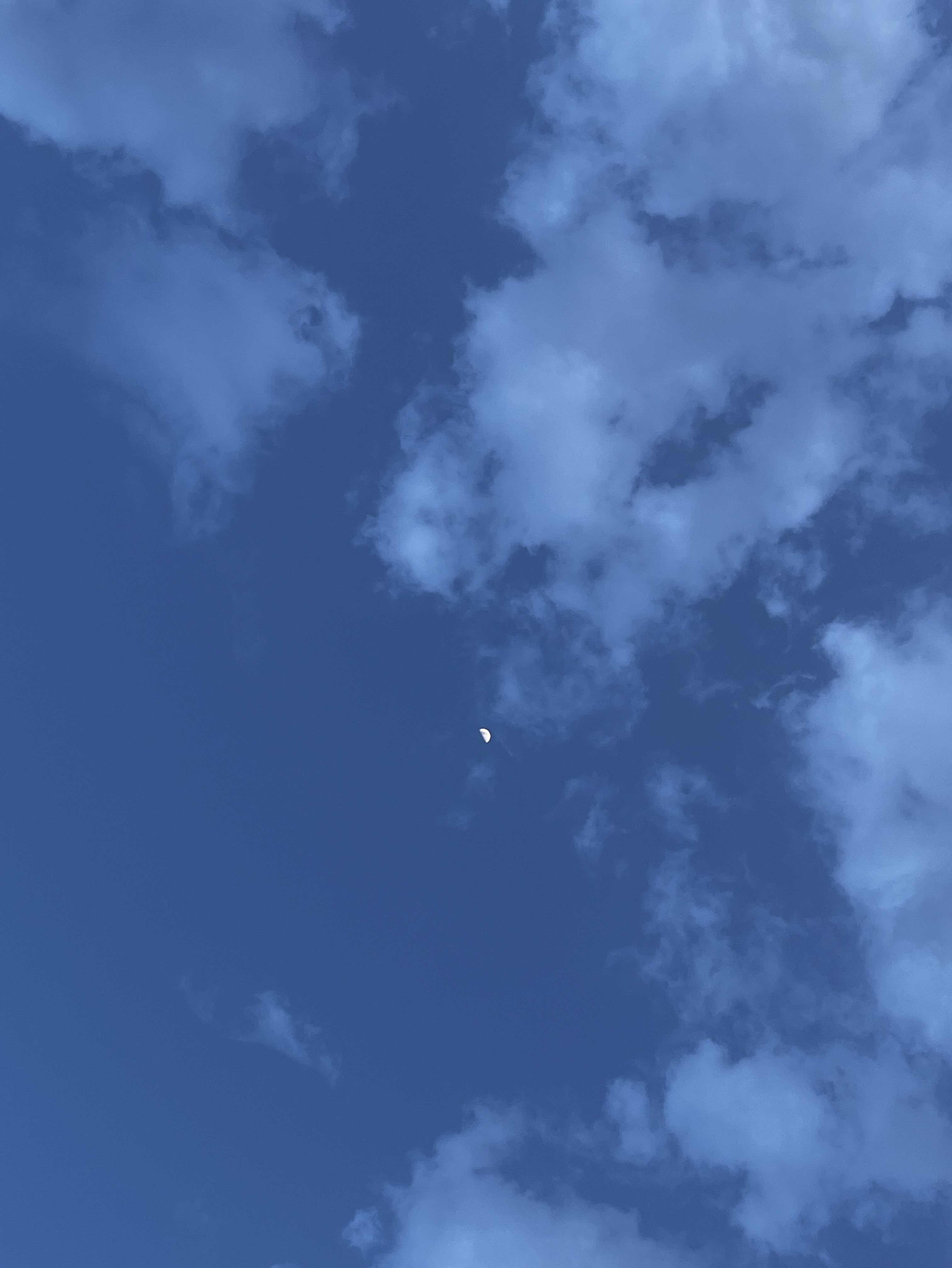 夏を教えて