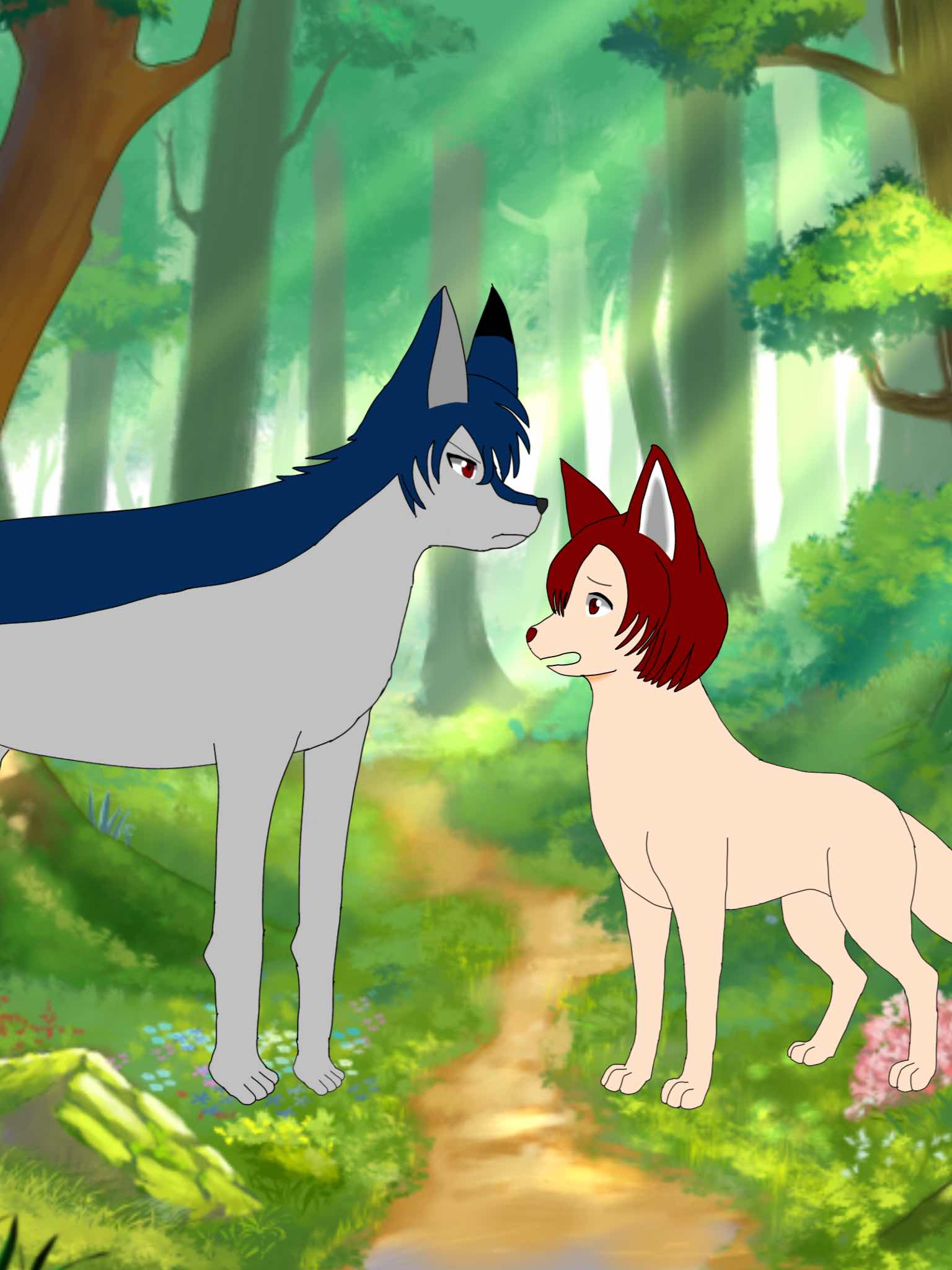 第六章 光の勉強