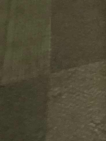世風を見て