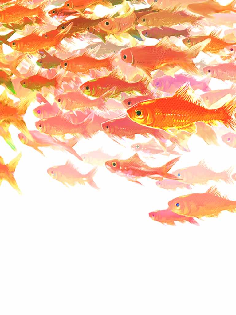 空飛ぶ金魚
